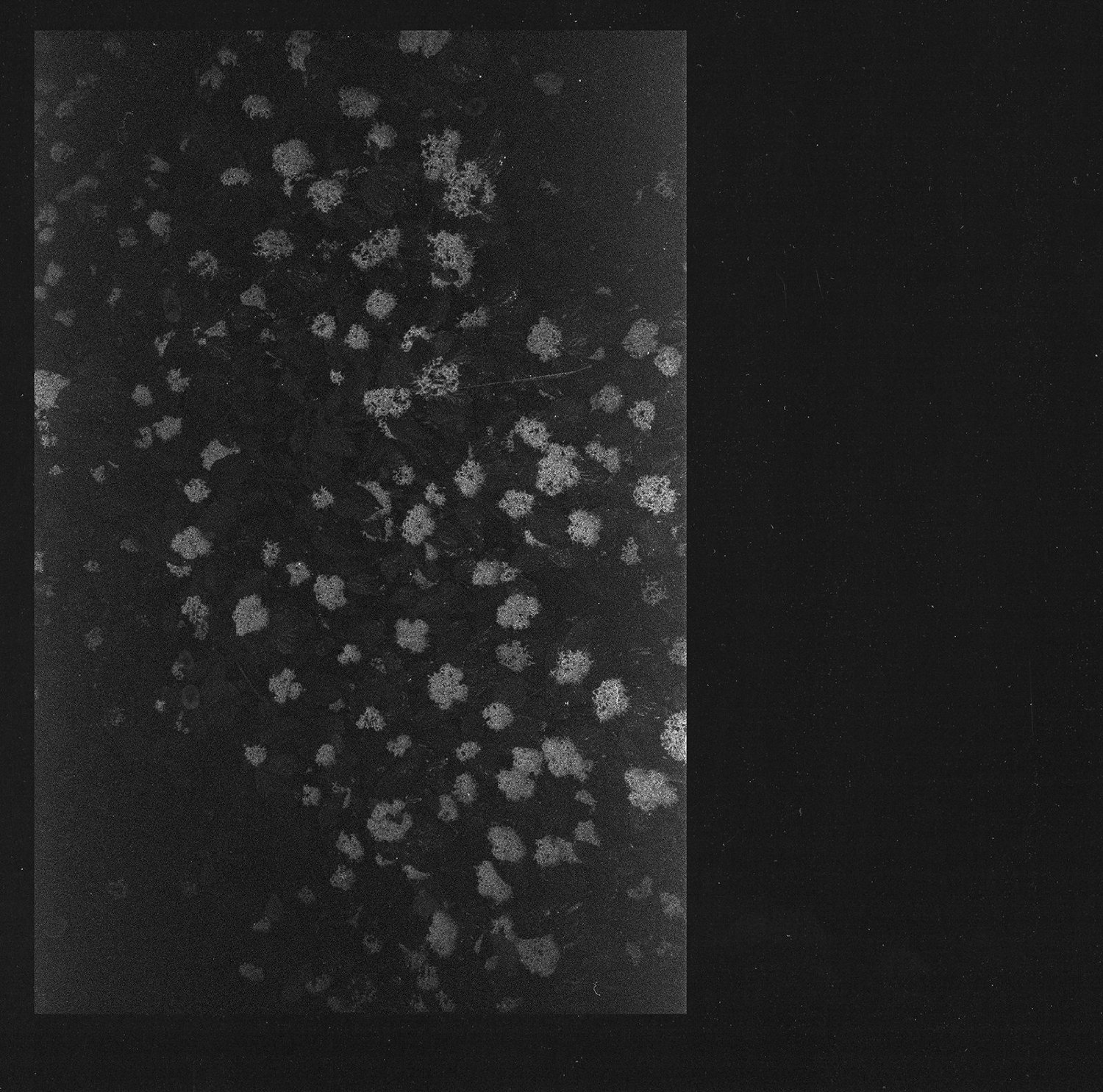 Motorama: "Poverty". Empfohlen von Kai Wichelmann