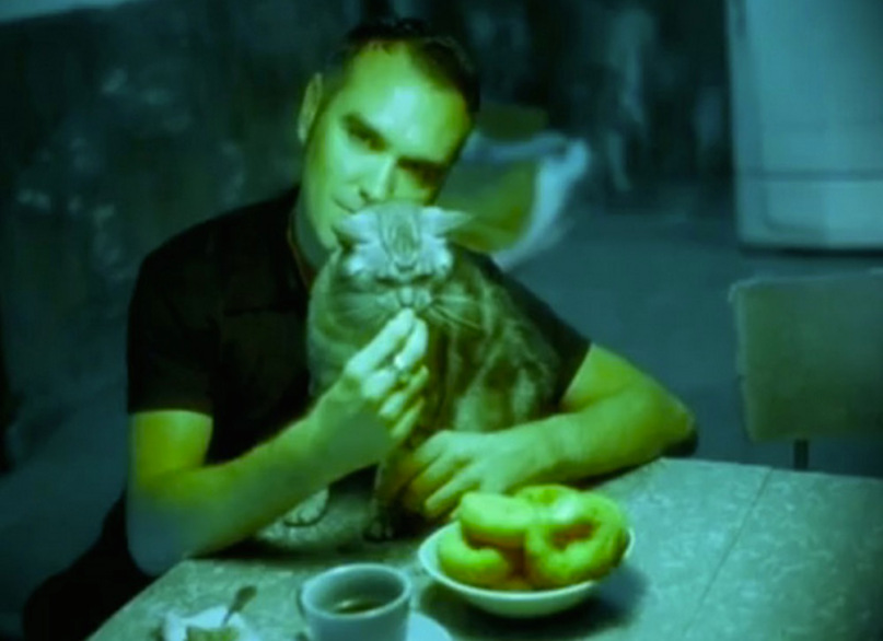 morrissey-cats-tumblr