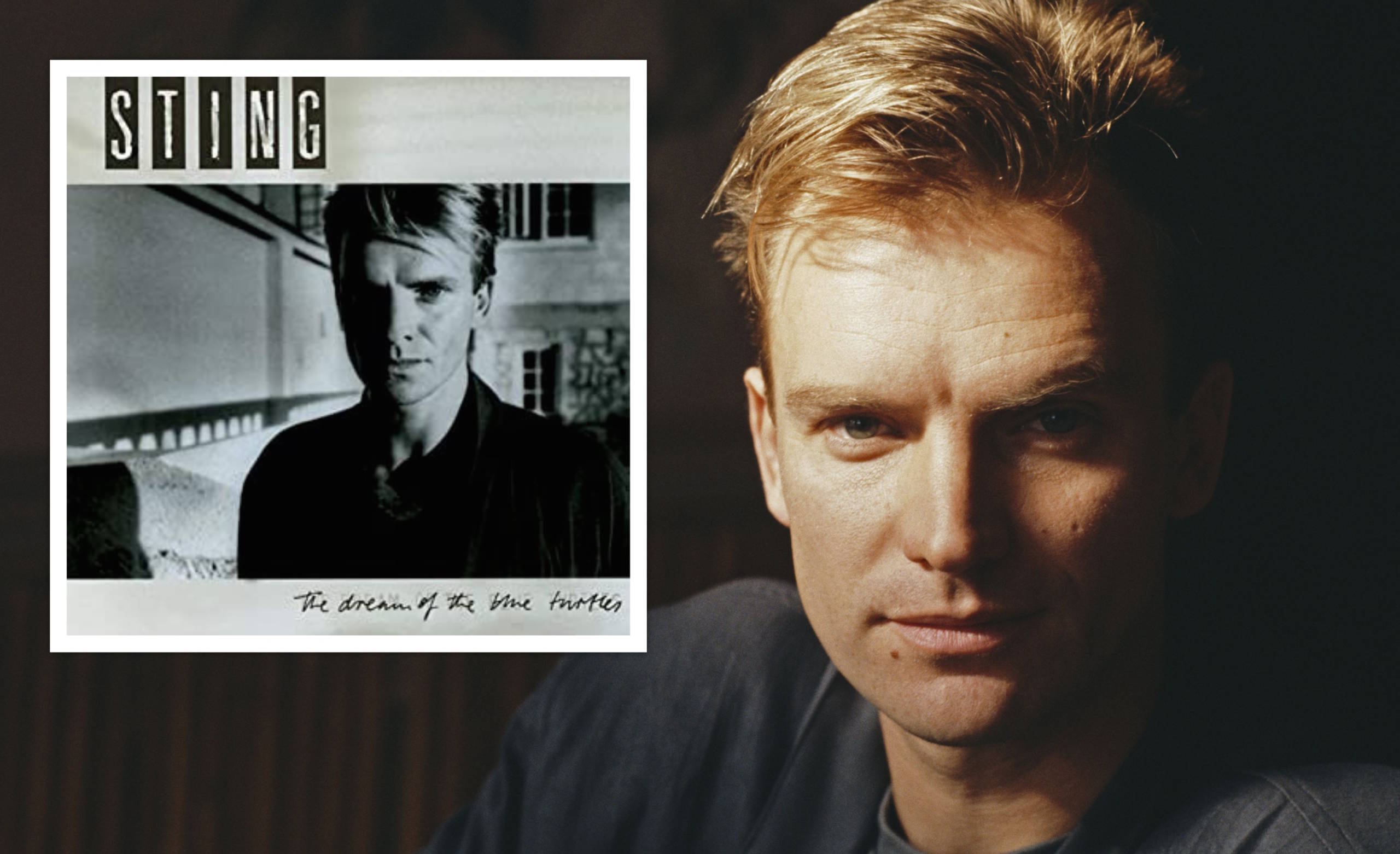 Sting und seine erste Solo-Platte „The Dream of the Blue Turtles“