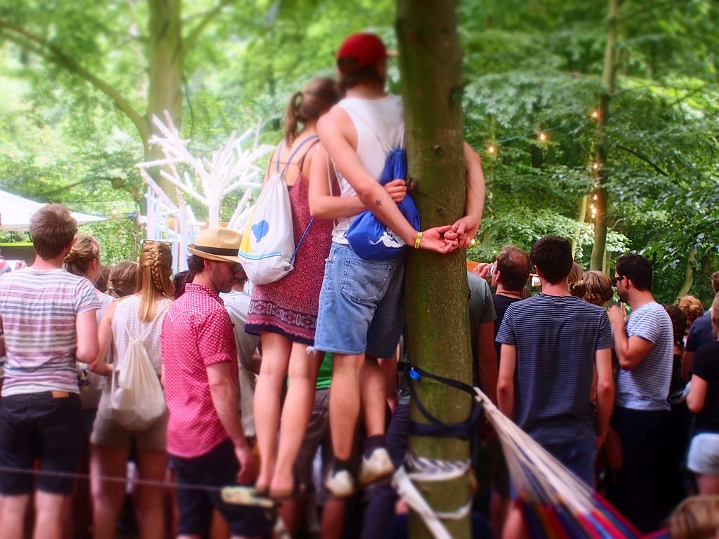 Appletree Garden Festival 2015