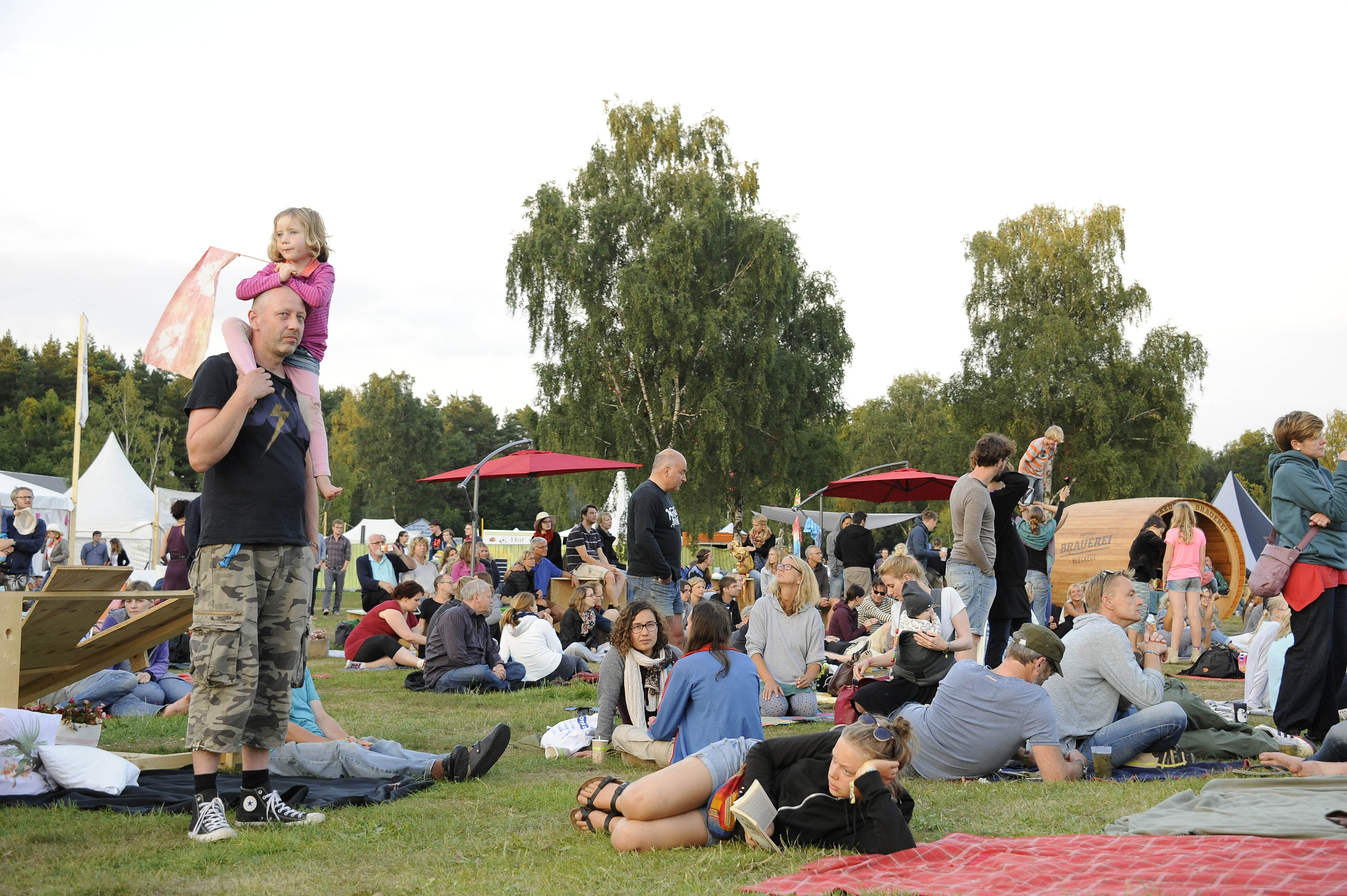 Publikum und Gelände beim A Summer's Tale Open Air Festival 2015: Premiere des Festivals in der Lueneburger Heide, Luhmue...
