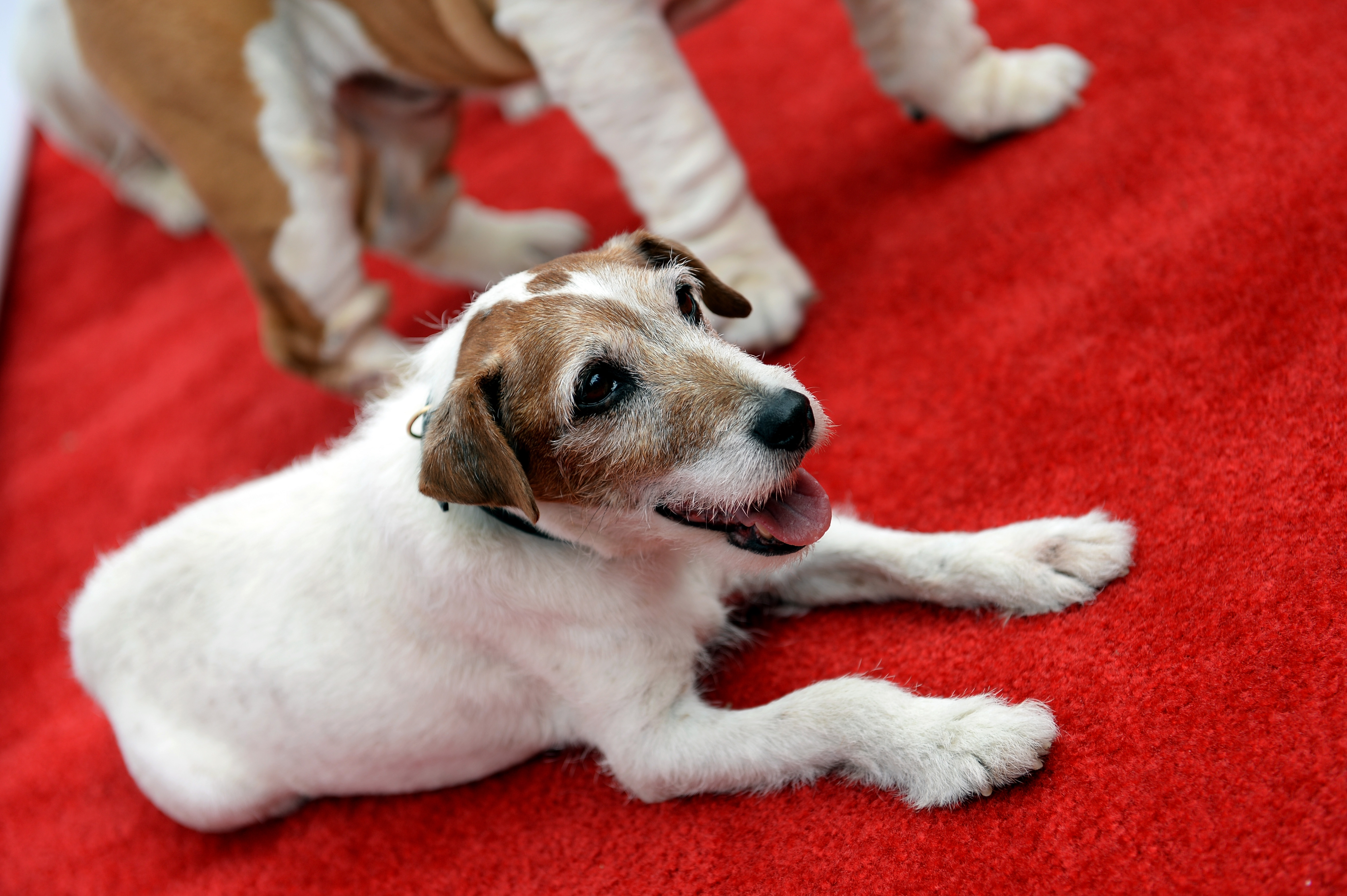 Abercrombie & Fitch Presents Their 2013 Stars On The Rise In Los Angeles, CA