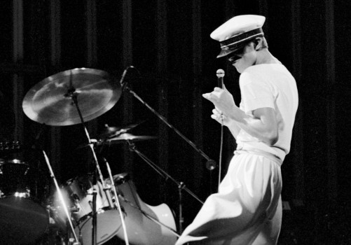 David Bowie in Concert