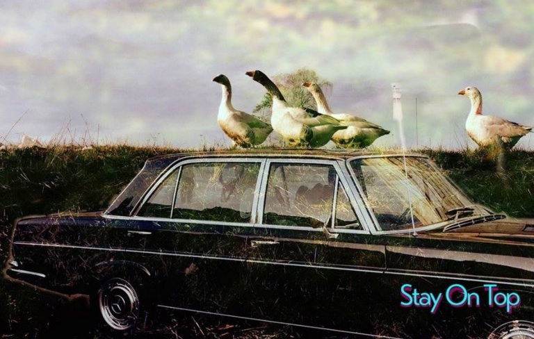 FINS aus Berlin mit ihrer neuen Single „Stay On Top“.