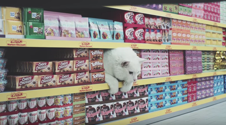 Wie putzig, ein Kätzchen im Verkaufsregal!