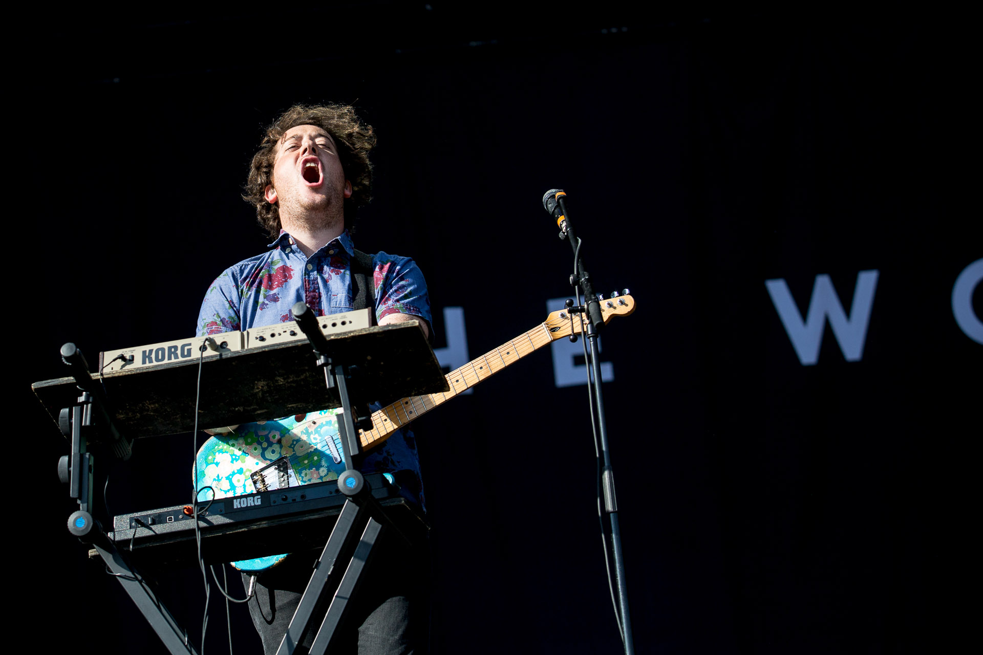 The Wombats