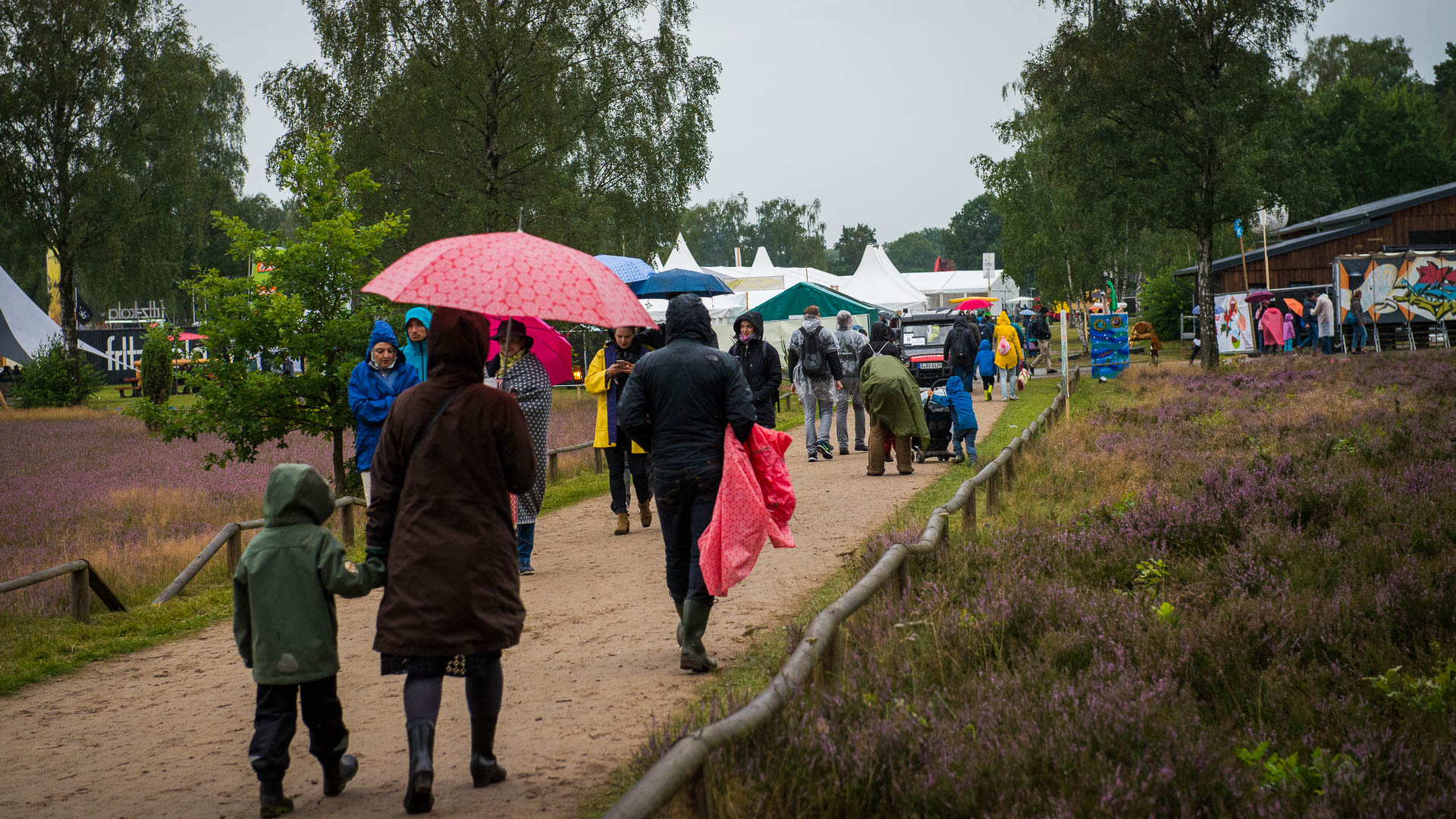 „A Summer's Tale“ 2016