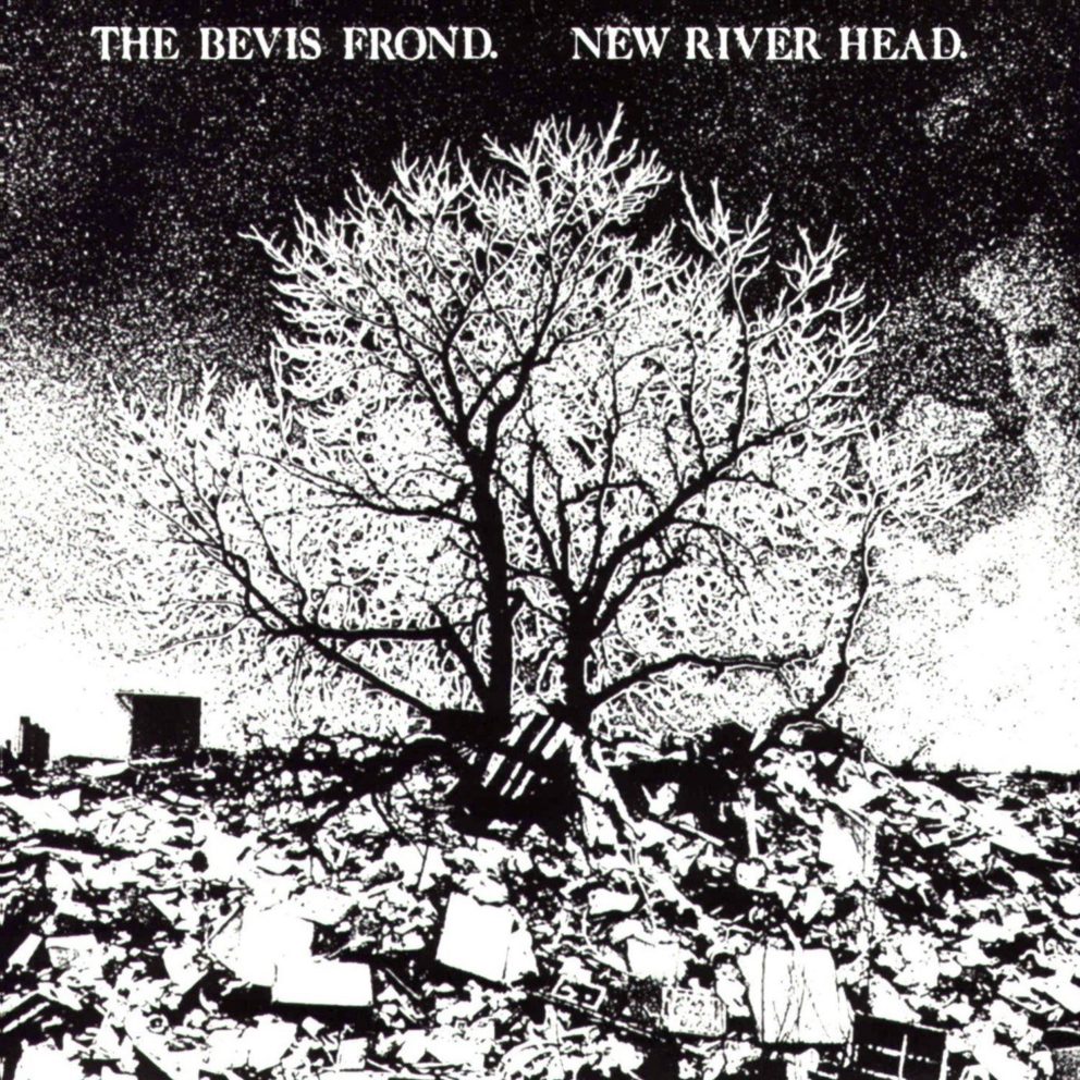 the-bevis-frond-new-river-head-992x992.jpg