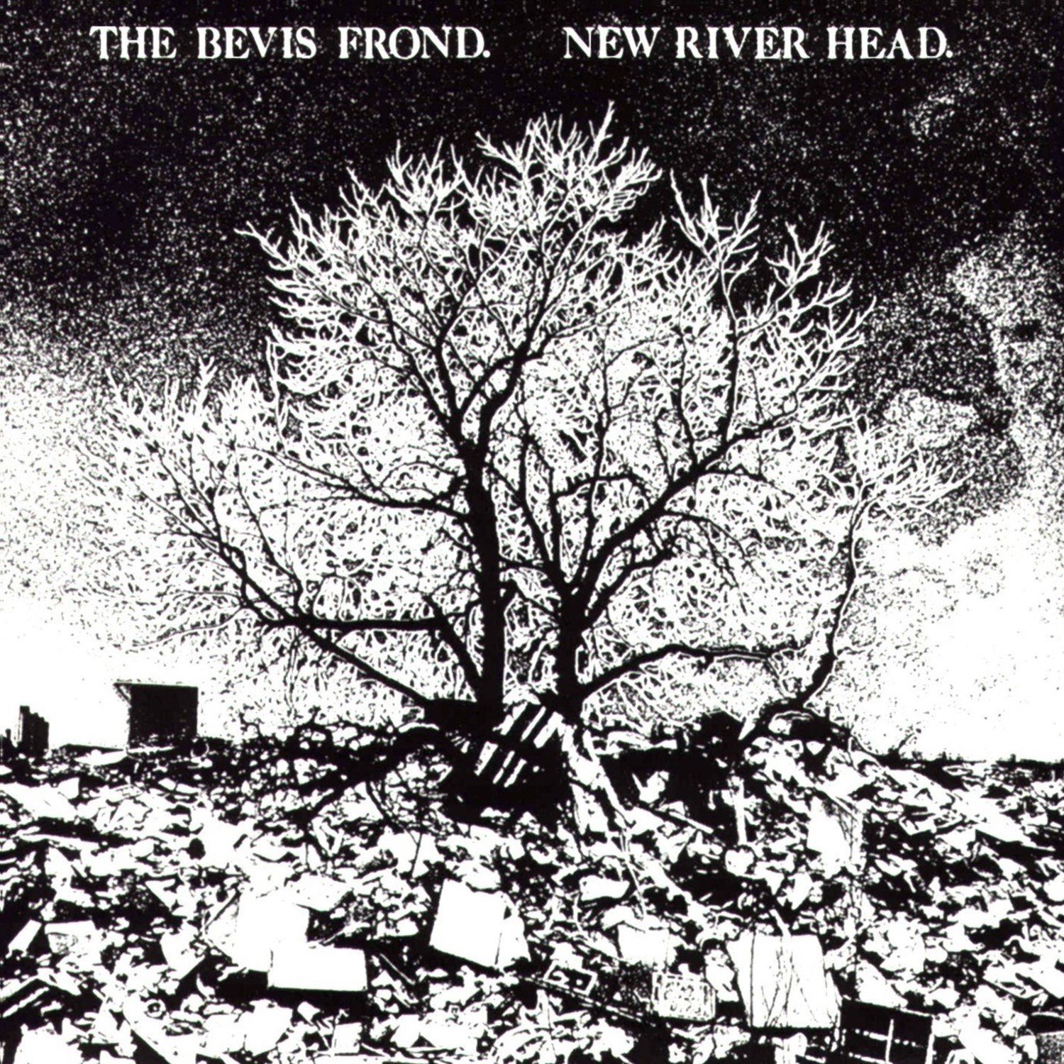 The-Bevis-Frond-New-River-Head