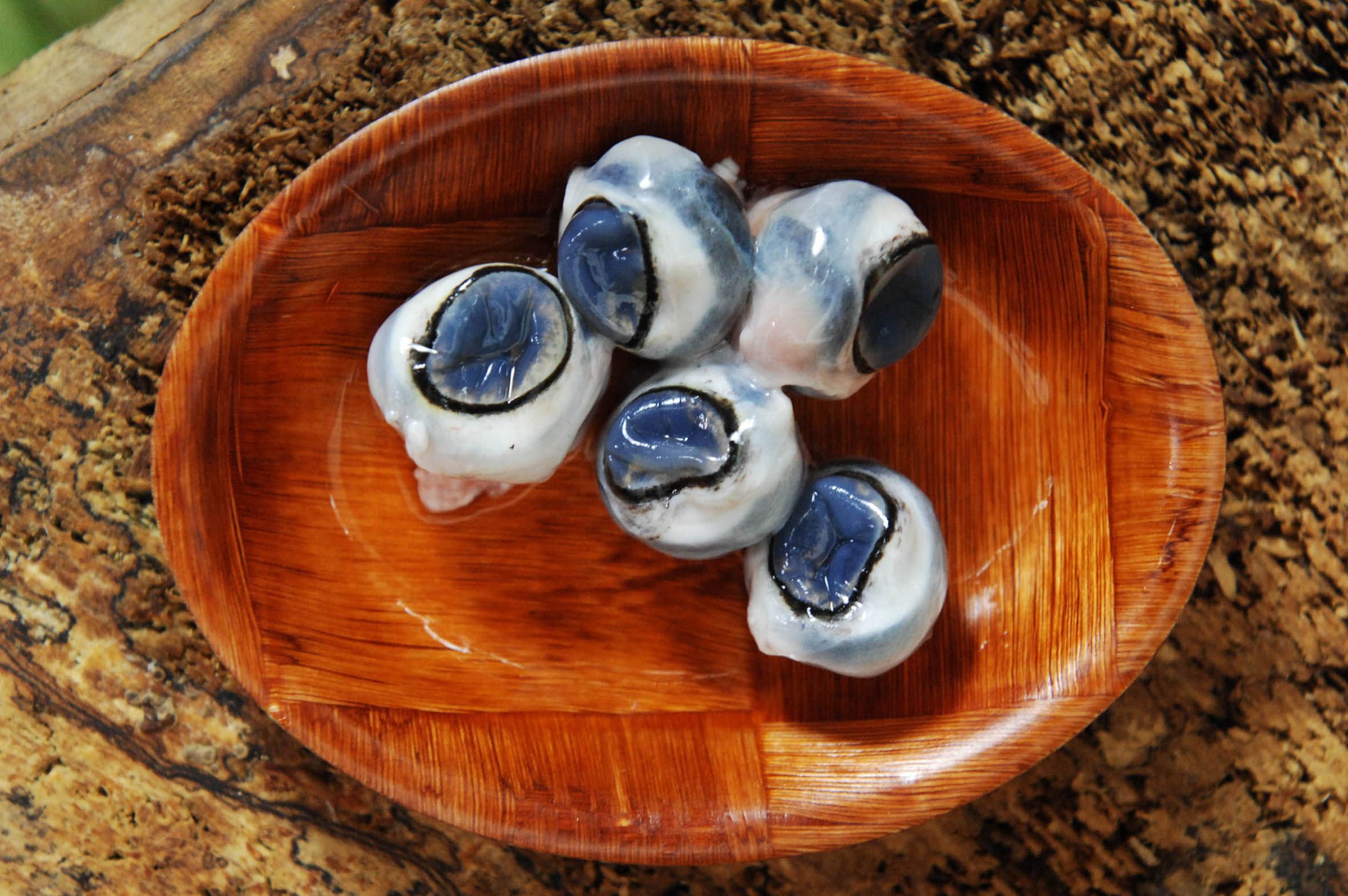 Ich bin ein Star - Holt mich hier raus!