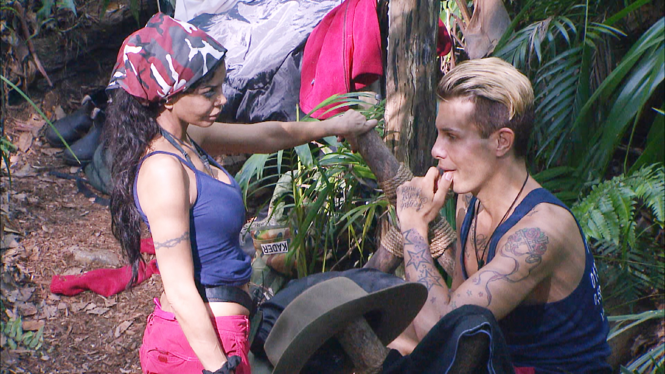 Ich bin ein Star _ Holt mich hier raus!