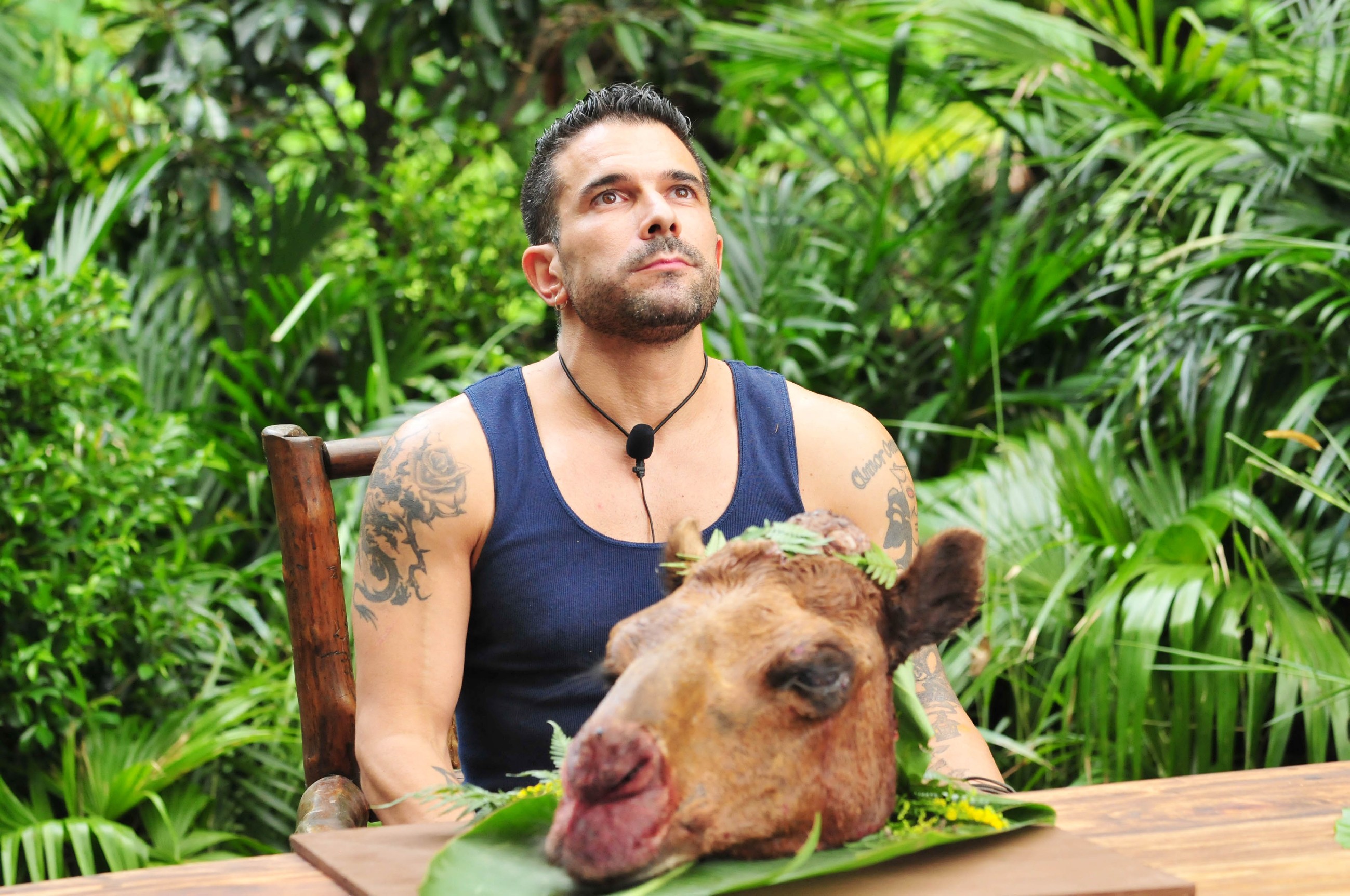 Ich bin ein Star _ Holt mich hier raus!