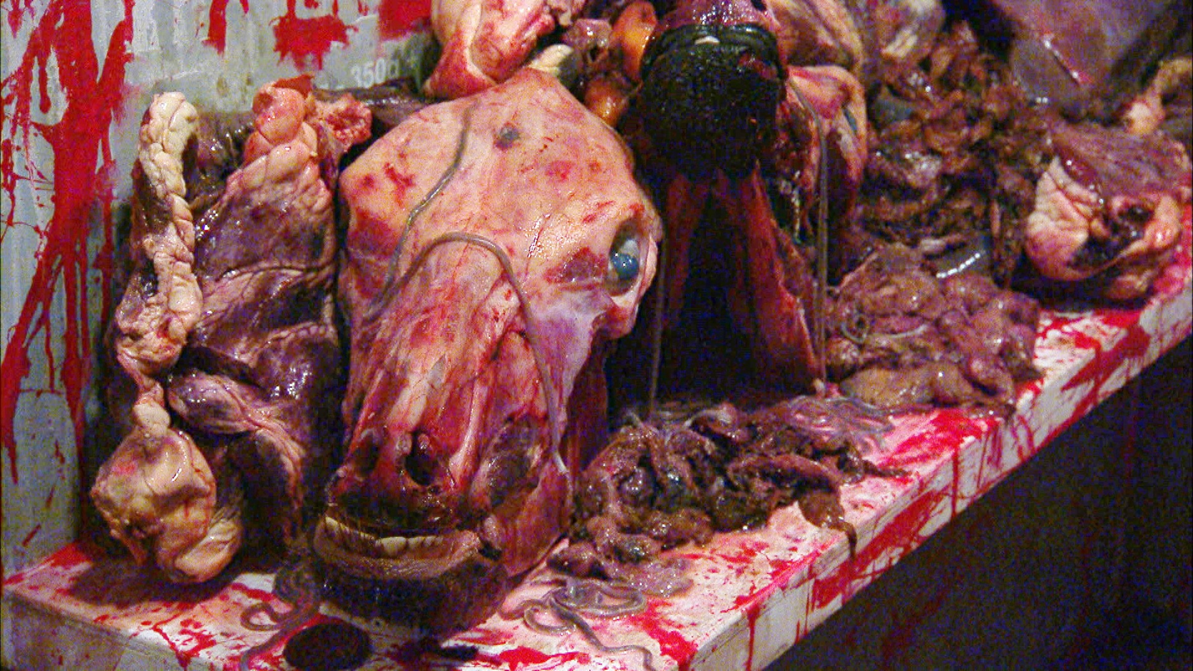 Ich bin ein Star _ Holt mich hier raus!