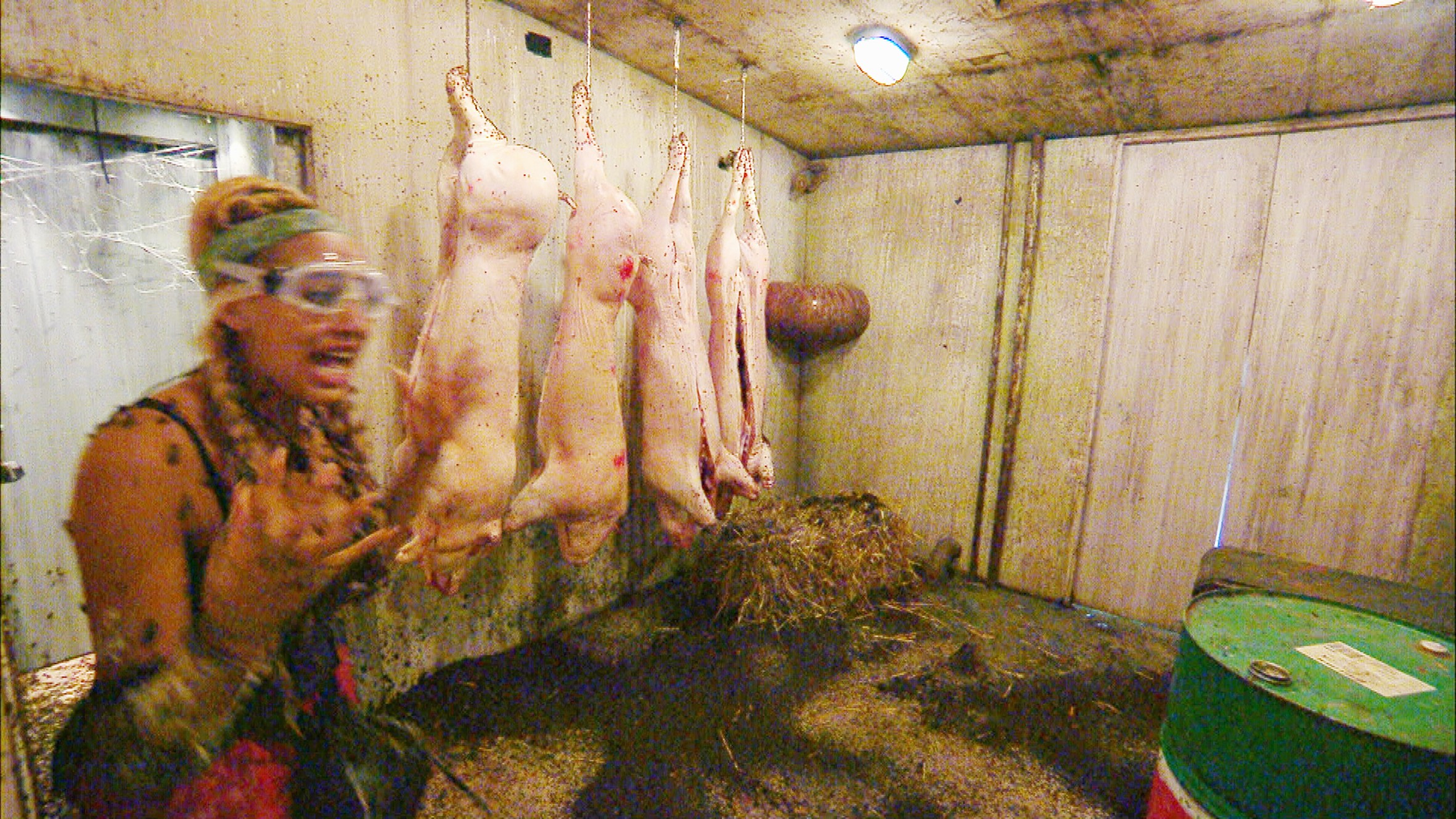 Ich bin ein Star _ Holt mich hier raus!