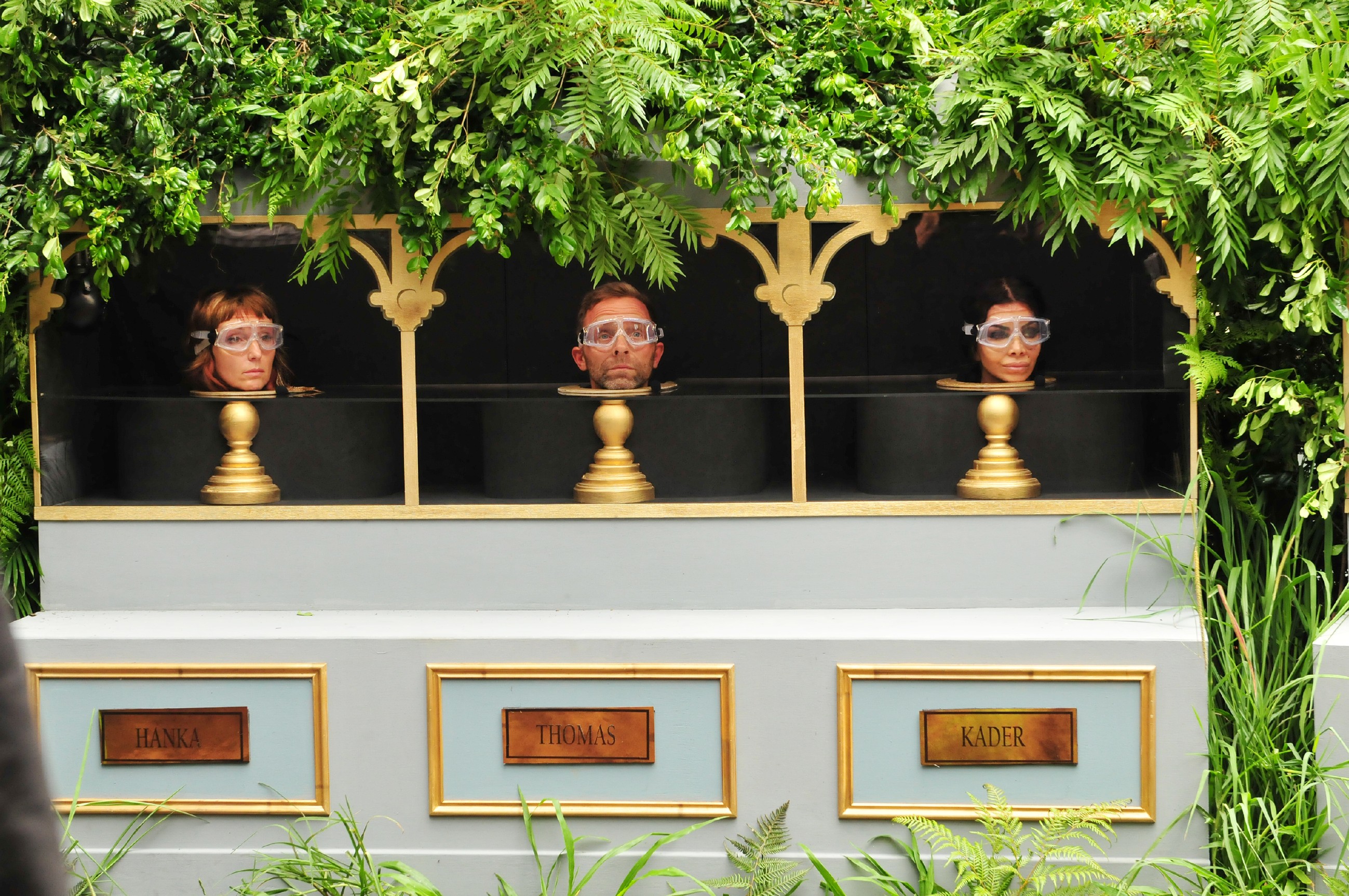 Ich bin ein Star _ Holt mich hier raus!