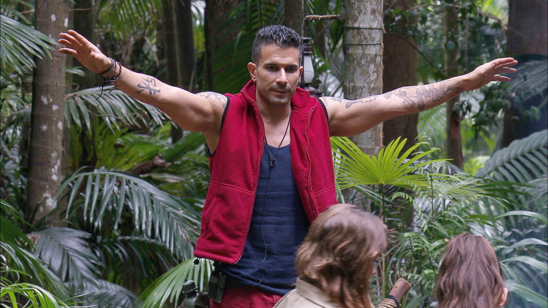 Ich bin ein Star _ Holt mich hier raus!