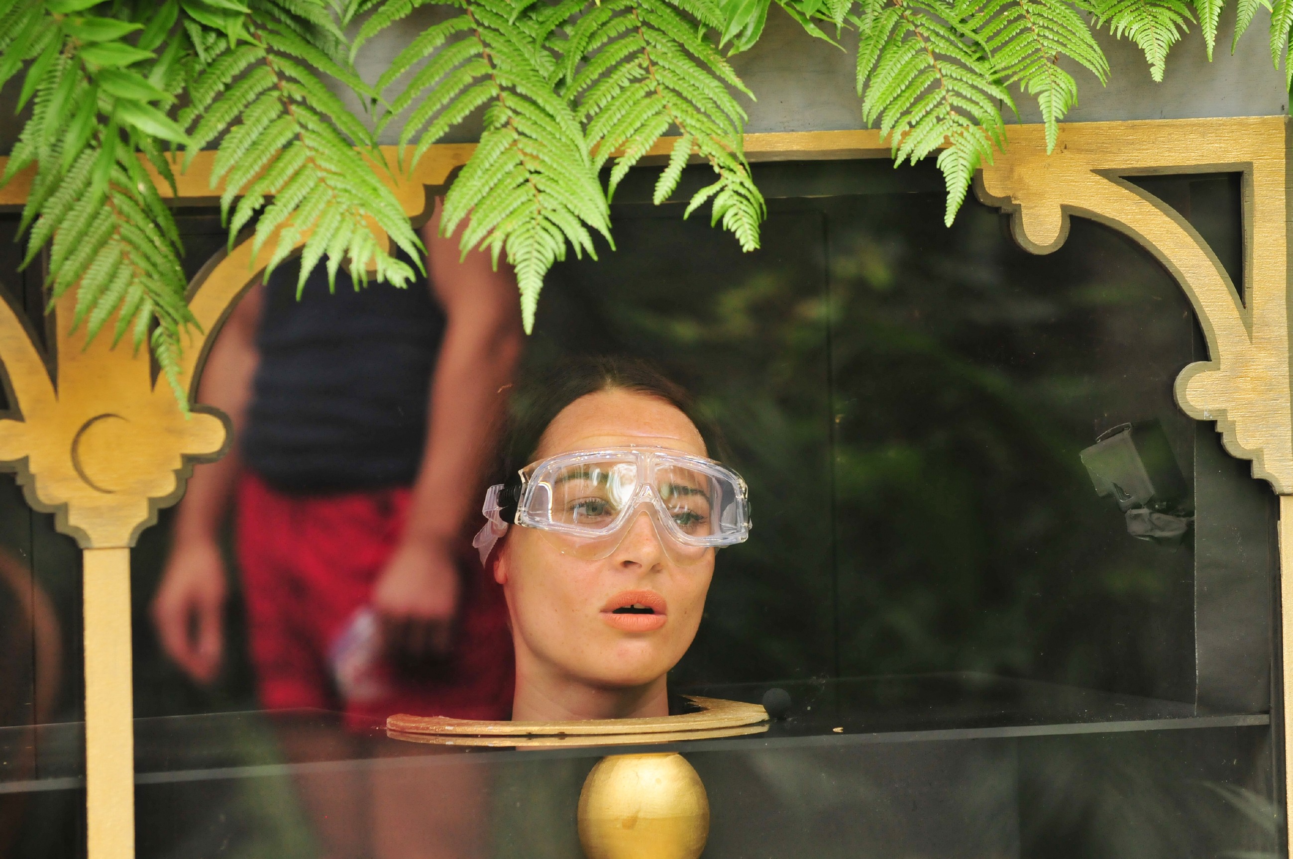 Ich bin ein Star _ Holt mich hier raus!