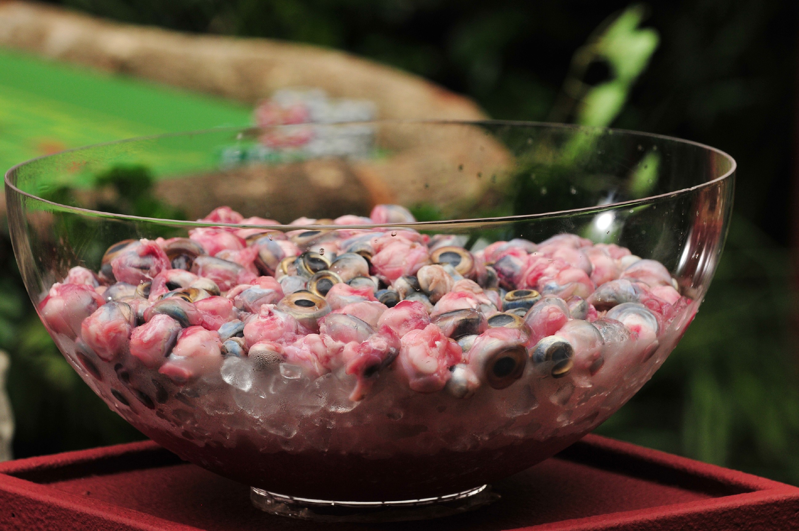 Ich bin ein Star _ Holt mich hier raus!