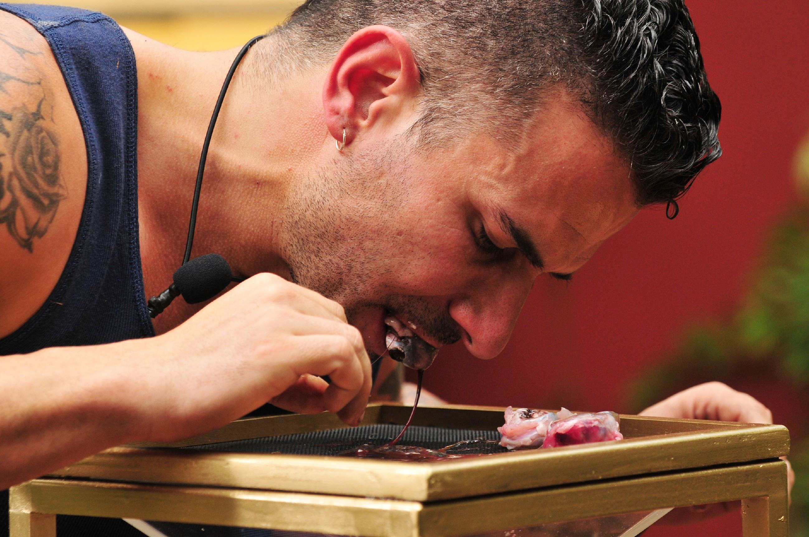 Ich bin ein Star _ Holt mich hier raus!