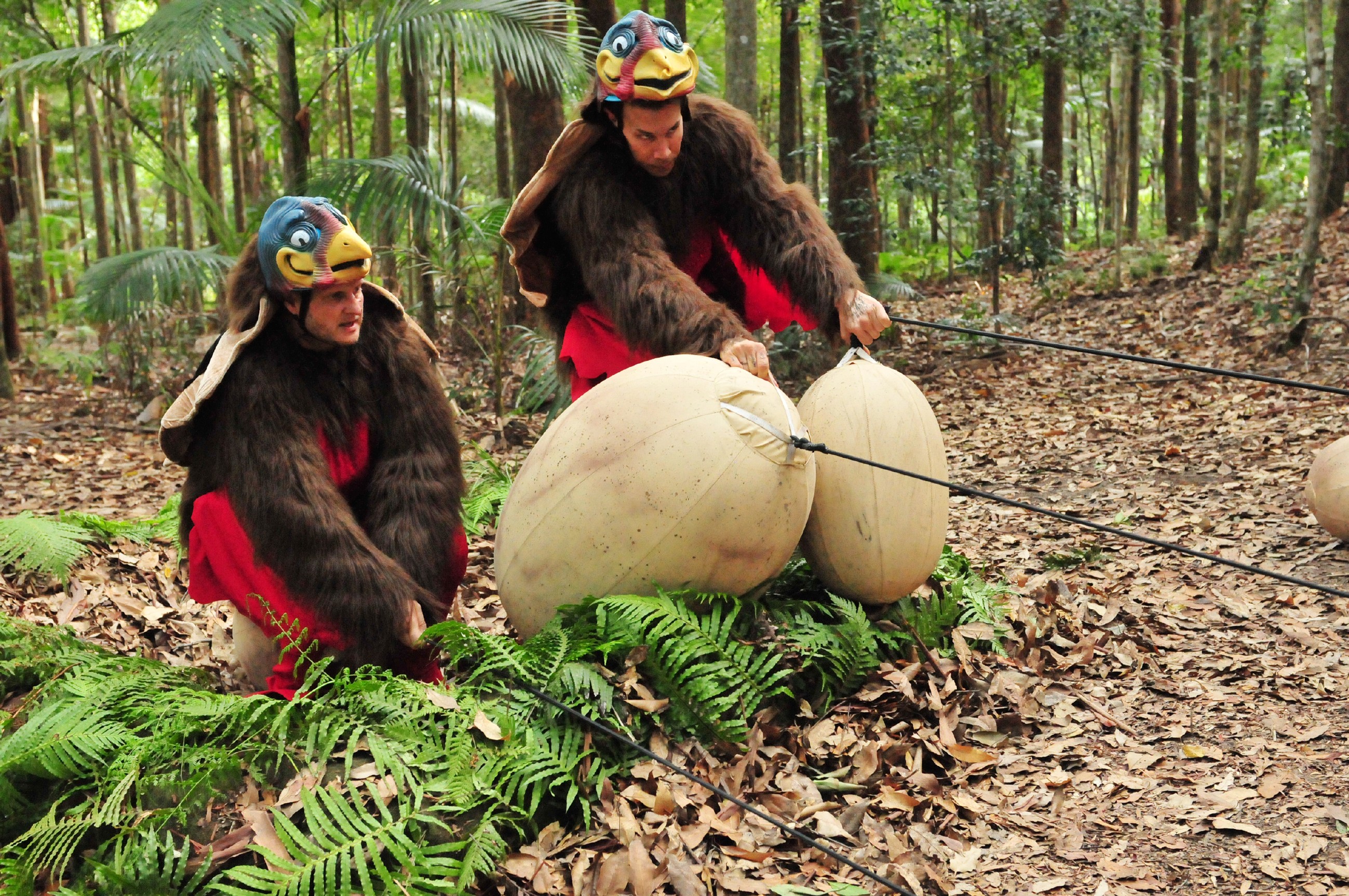 Ich bin ein Star _ Holt mich hier raus!