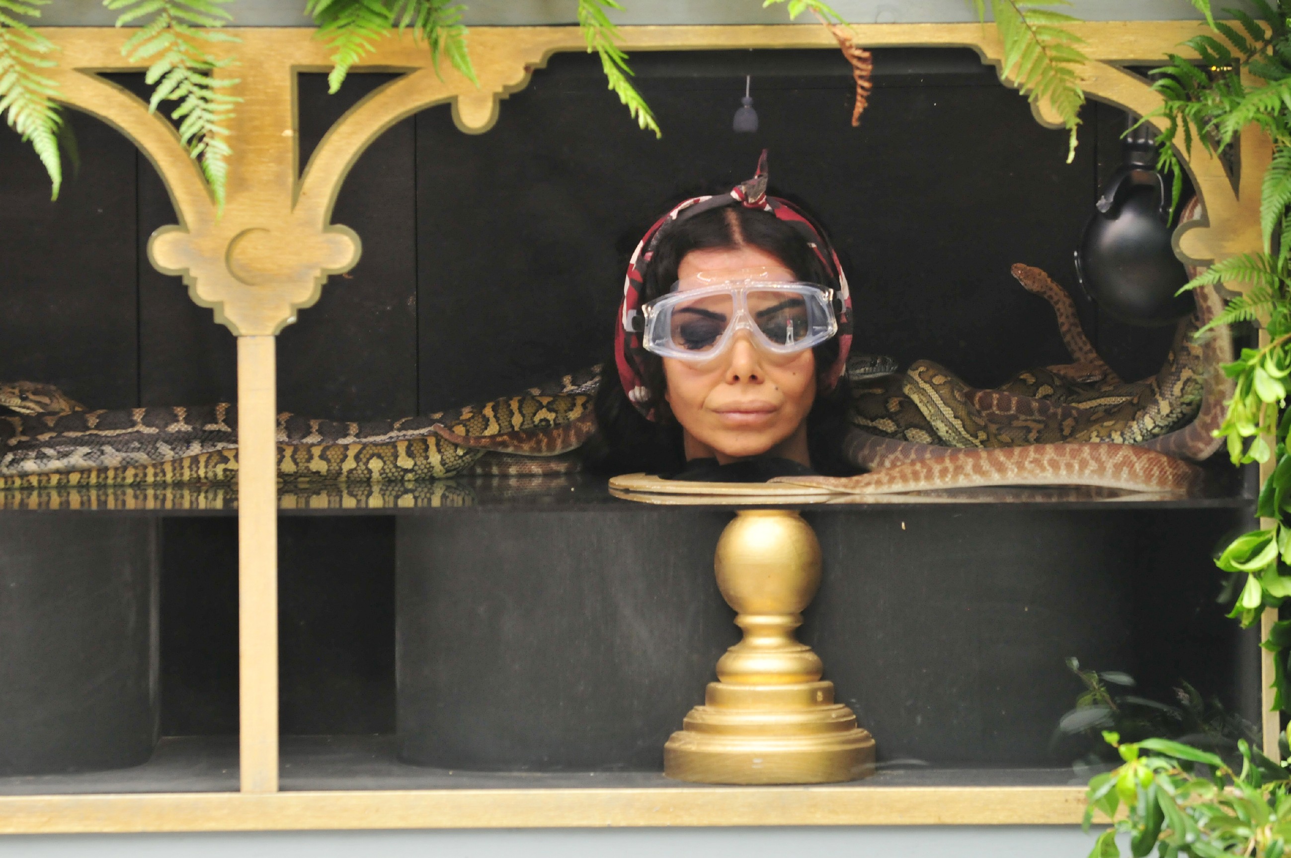 Ich bin ein Star _ Holt mich hier raus!