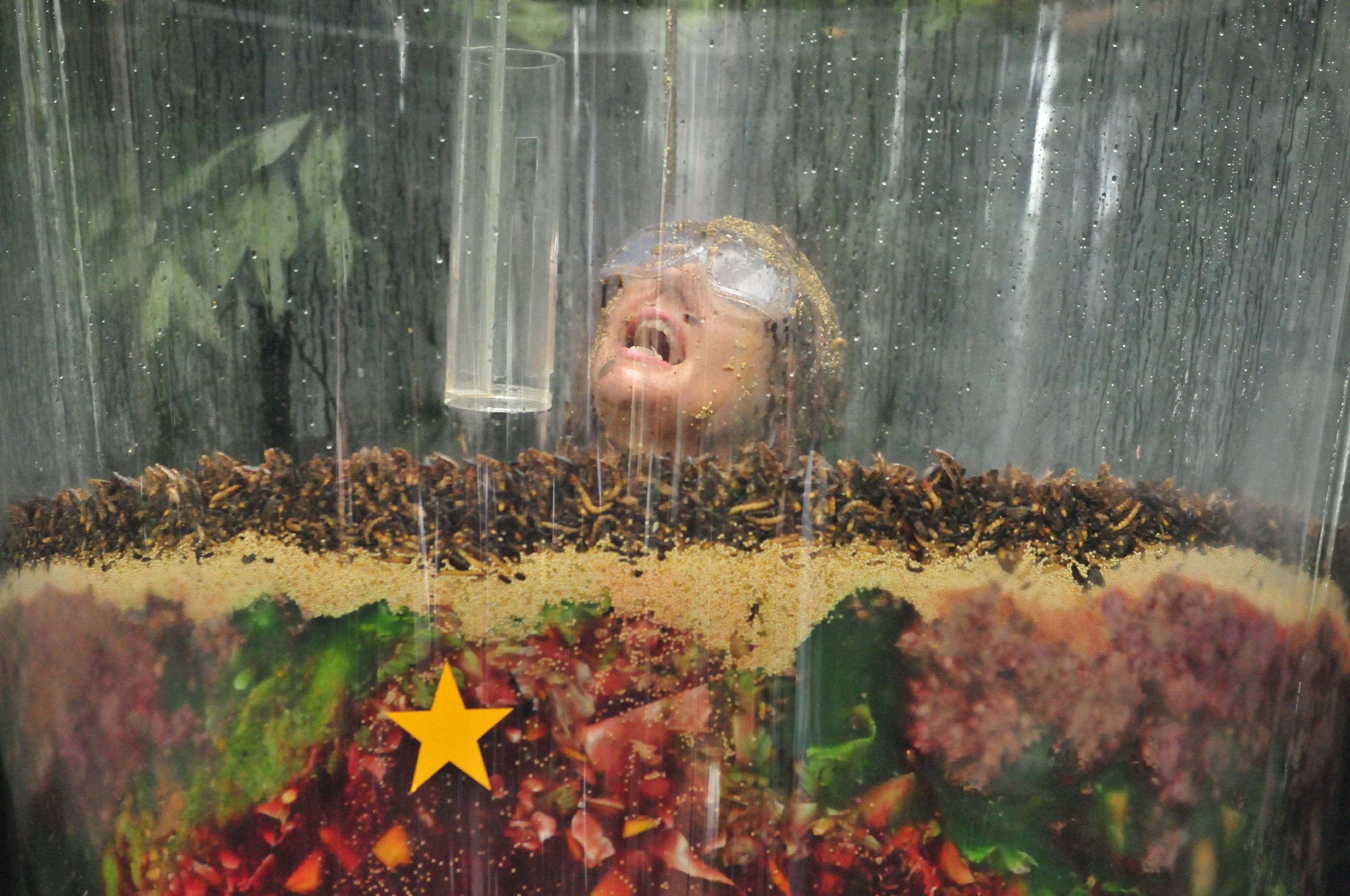 Ich bin ein Star _ Holt mich hier raus!