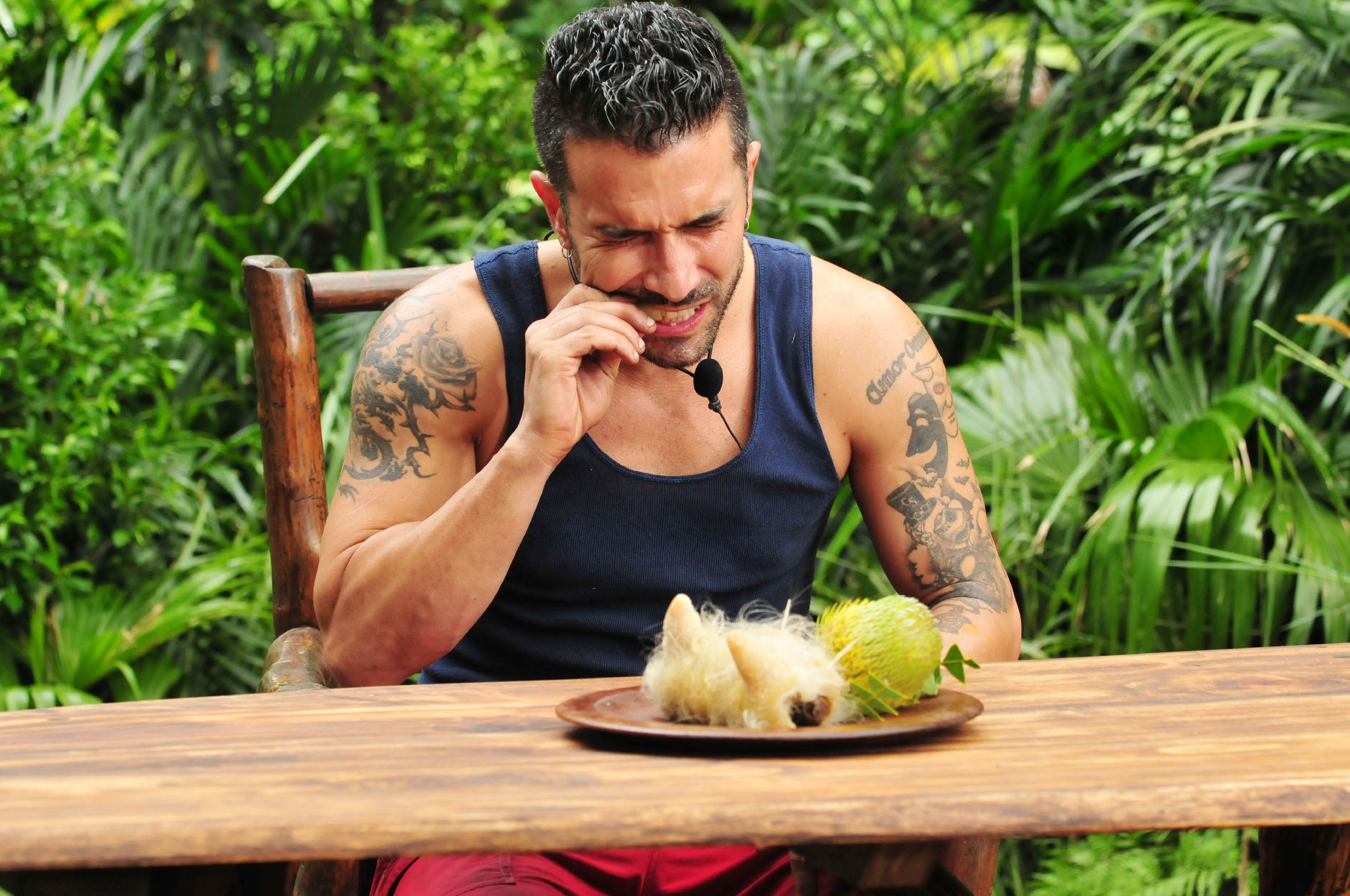 Ich bin ein Star _ Holt mich hier raus!