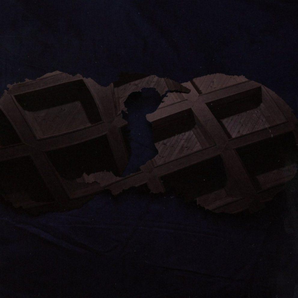 dirty-projectors-dirty-projectors-cover