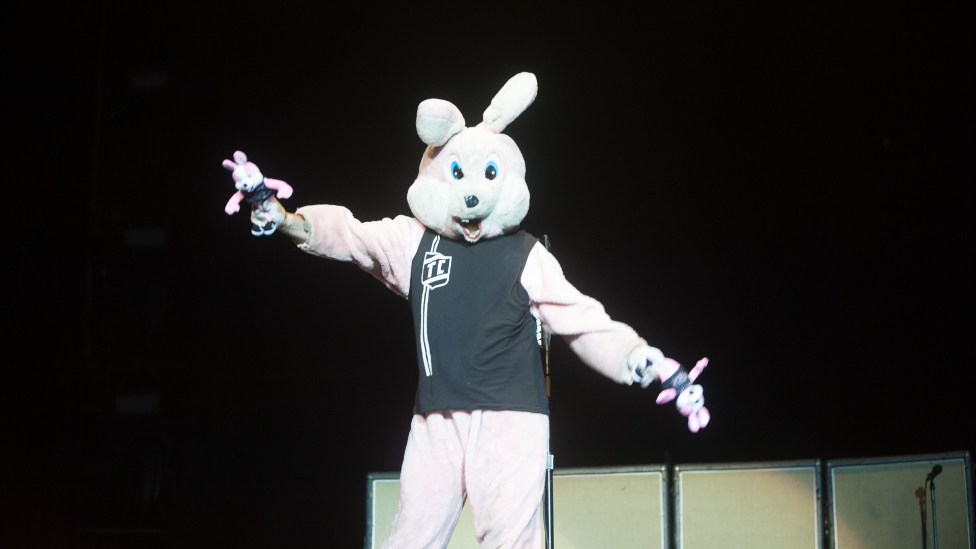 Hase von Green Day!

Foto © nordphoto / Rojahn