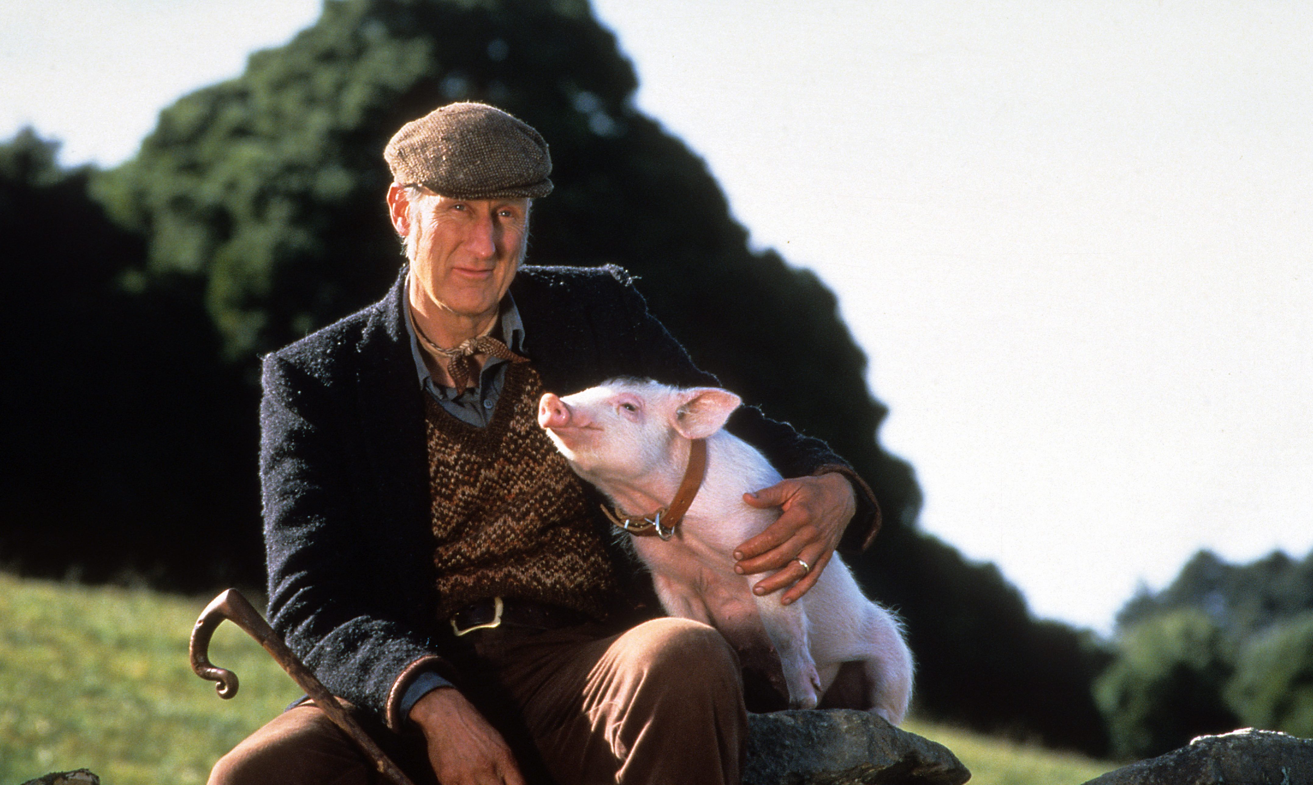 James Cromwell als Farmer Arthur Hogget in „Ein Schweinchen namens Babe“