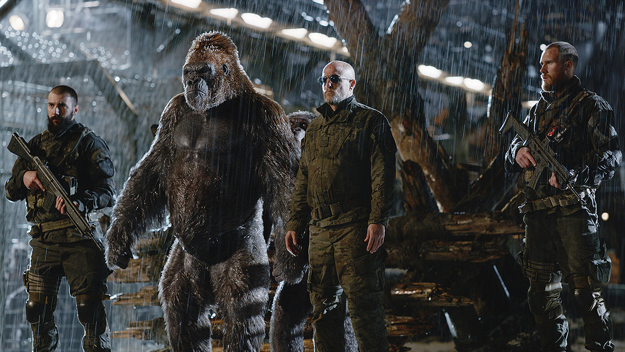 Szene aus „Planet der Affen: Survival“