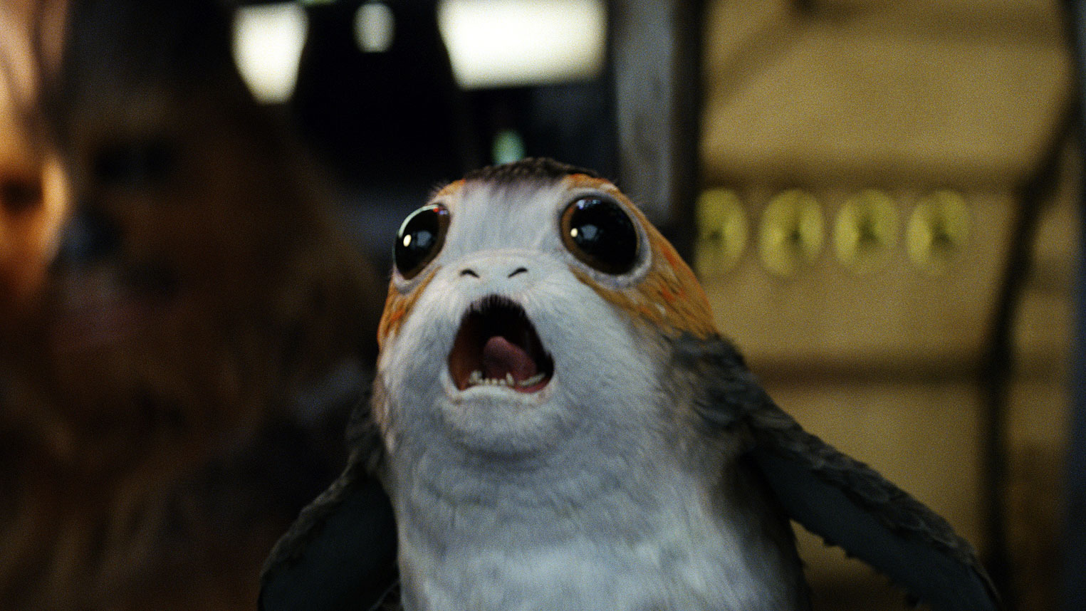 Der kleine Porg ist entsetzt: „Star Wars: The Last Jedi“ bekommt Konkurrenz