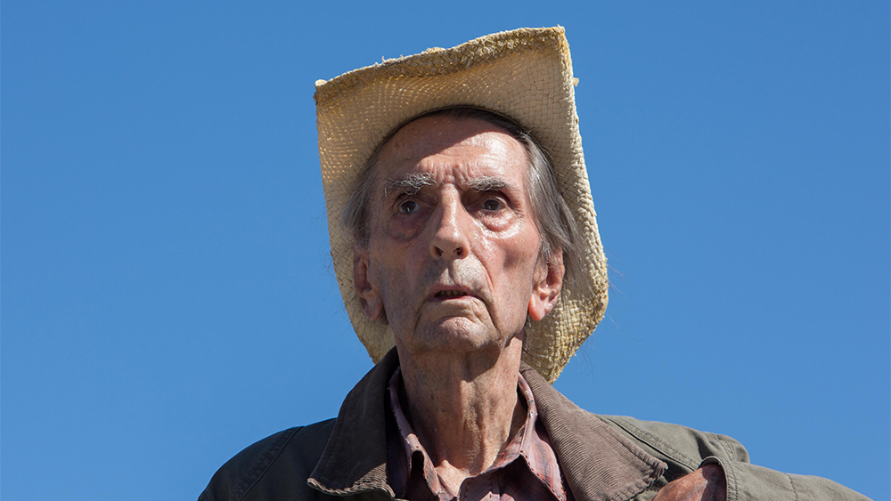 Harry Dean Stanton in seiner letzten großen Rolle
