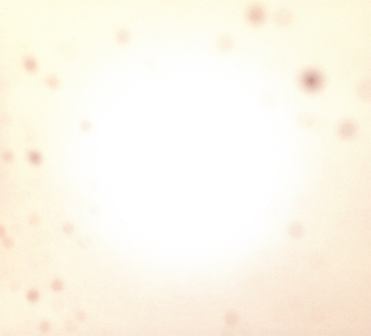 yo-la-tengo-theres-a-riot-going-on