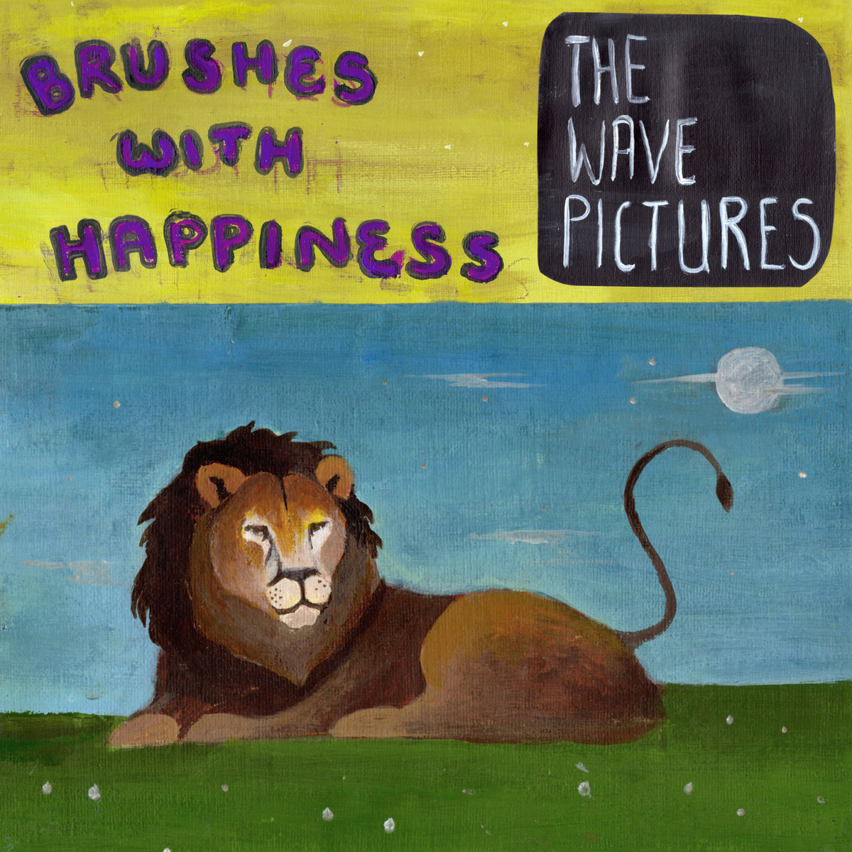 the-wave-pictures-brushes-with-happiness