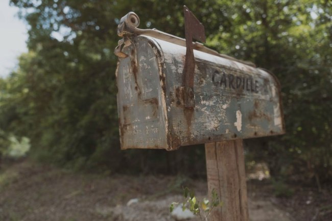 - The Walking Dead _ Season 9, Episode 5 - Photo Credit: Jackson Lee Davis/AMC