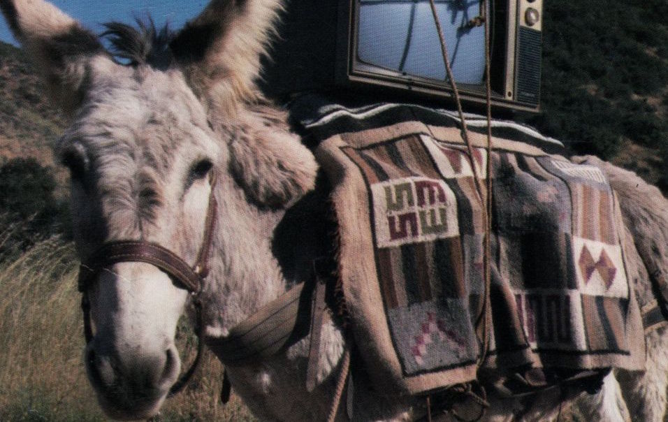 Eselsarbeit: Cover von „Greetings From Timbuk 3“