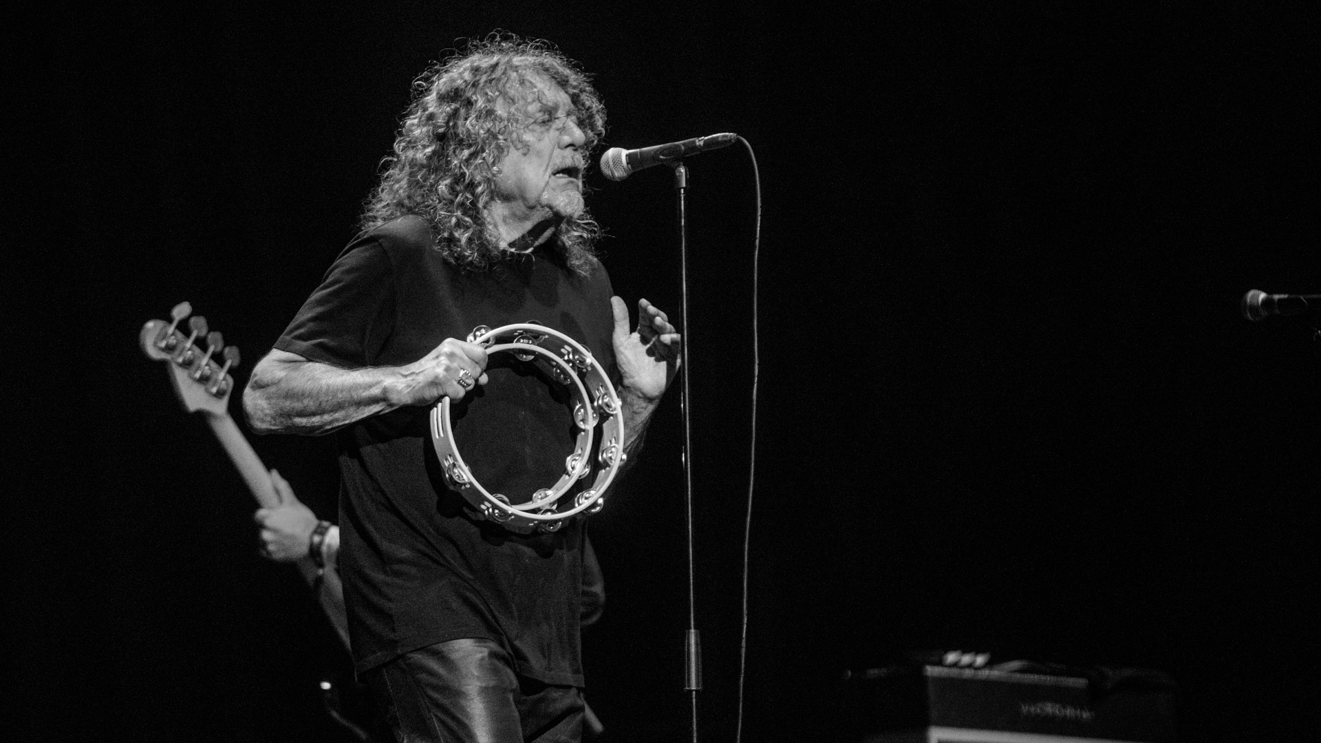 Robert Plant