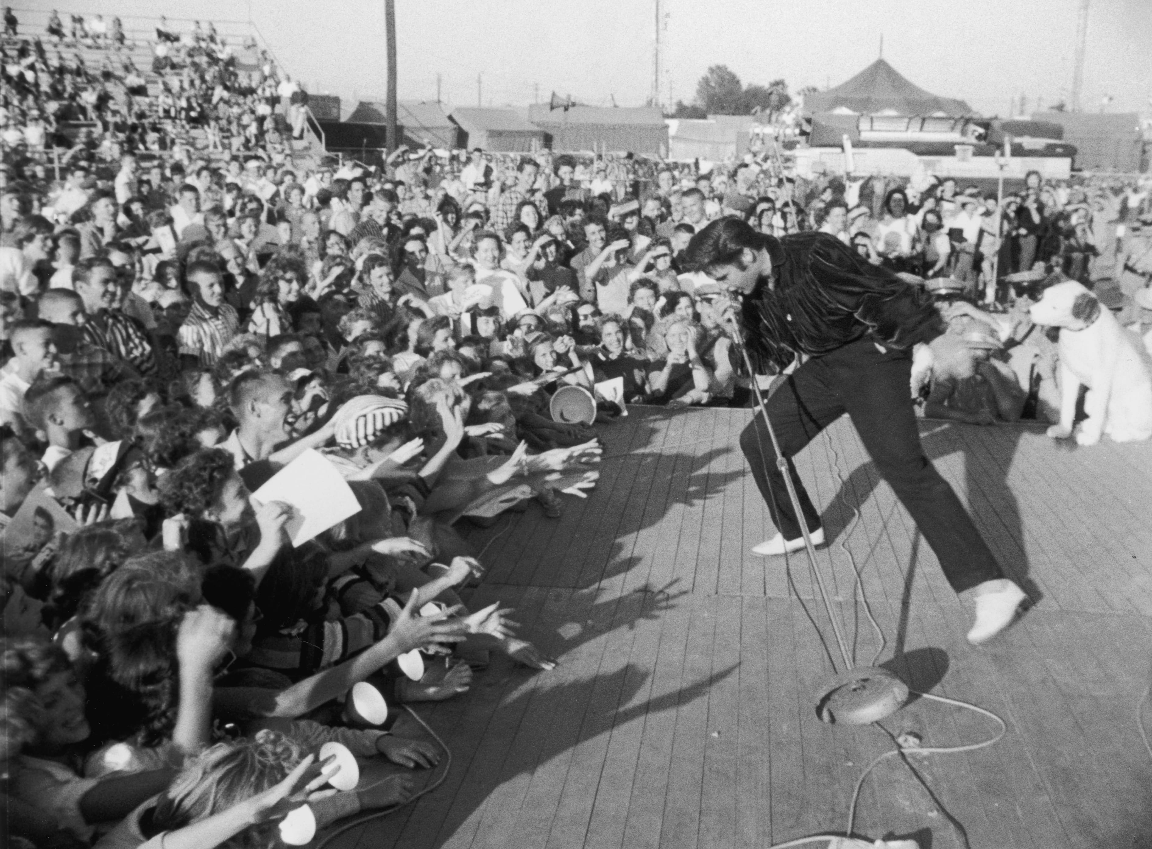 Zum Greifen nah: Fans versuchen ihr Idol Elvis Presley bei einem Konzert zu berühren. Die Aufnahme stammt etwa aus dem Jahr 1957.