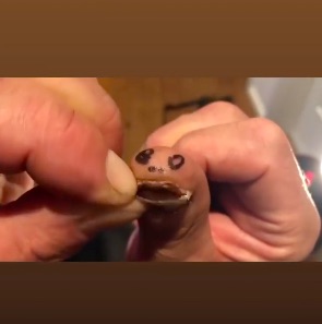 Bildschirmfoto 2019-11-25 um 08.15.41