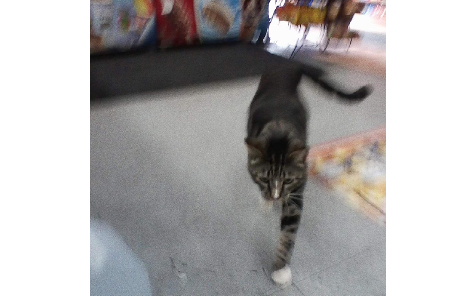 71Lph2XUB9L._SL1200_