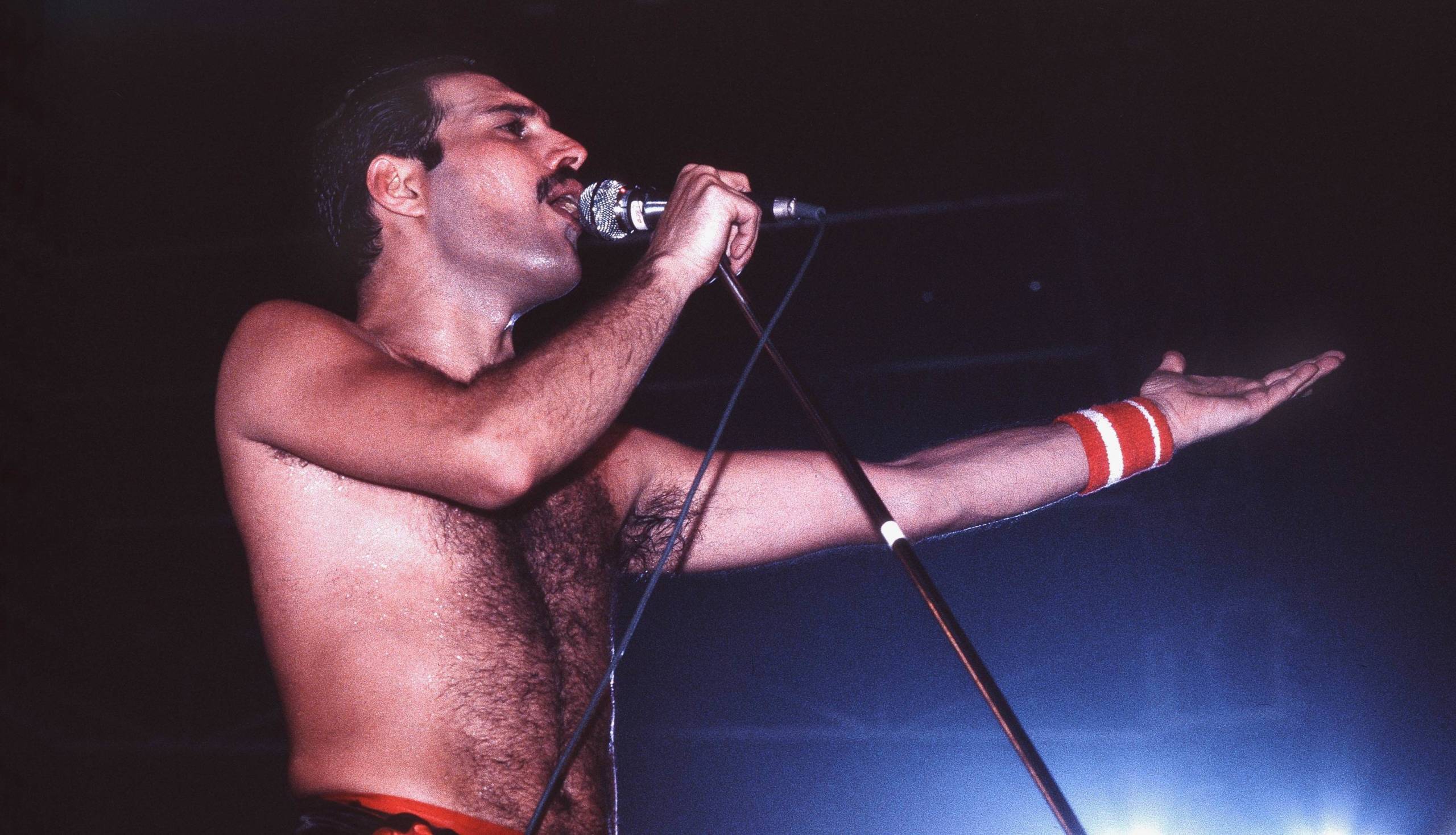 Queen-Sänger Freddie Mercury