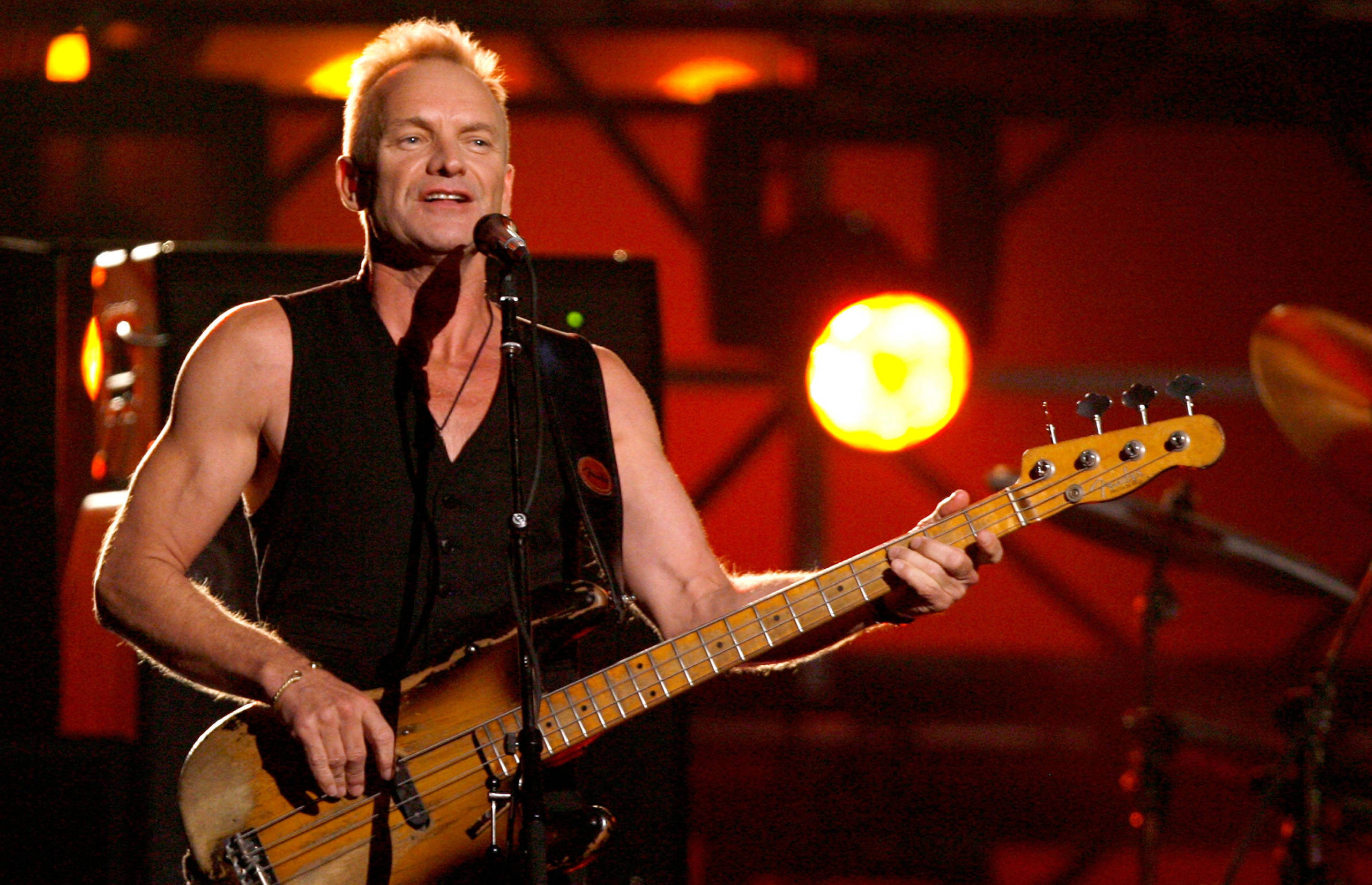 Sting während einer Liveshow im Jahr 2007.