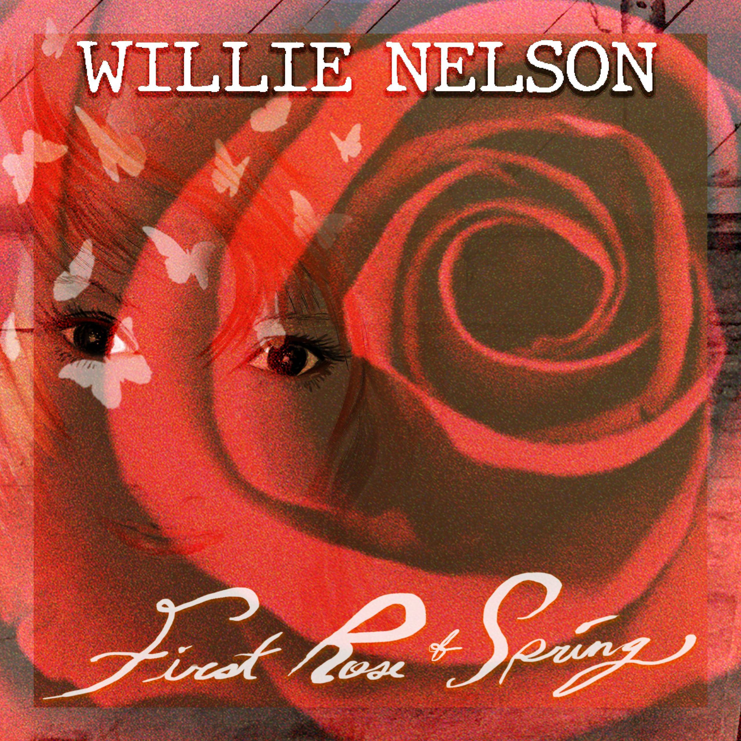 Willie Nelson Neues Album First Rose of Spring