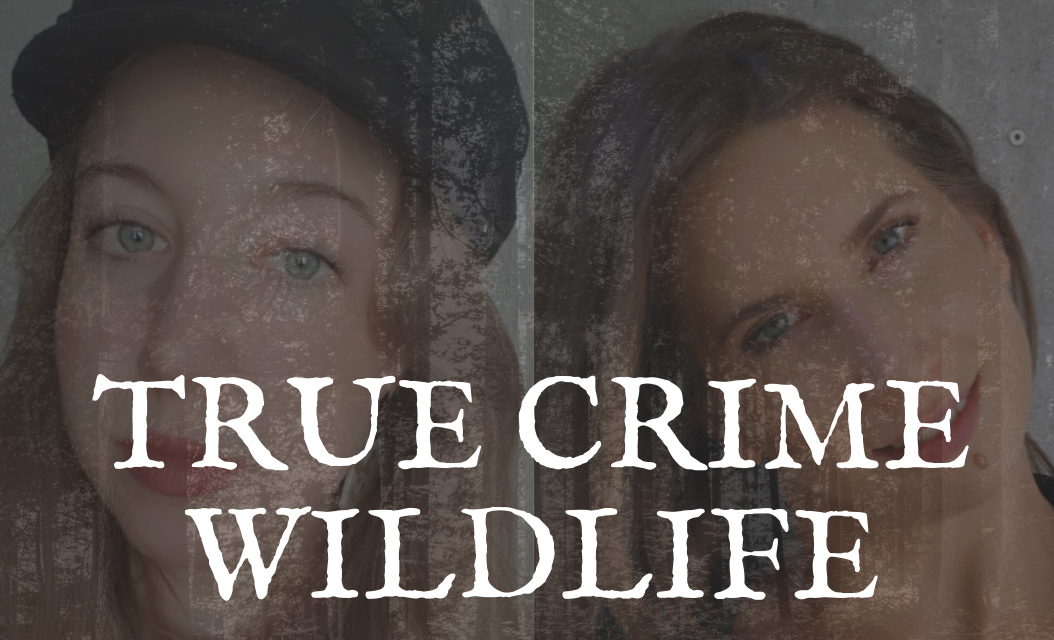 Der neue Podcast „True Crime Wildlife“ von Helen Meyer und Vanessa Ewald