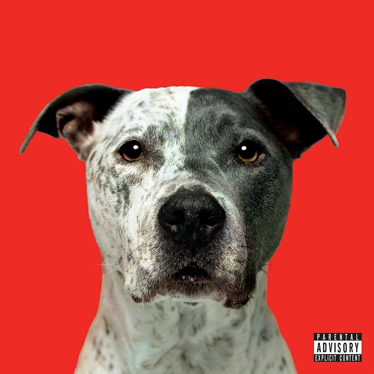 71hvoXXUjTL._SL1200_