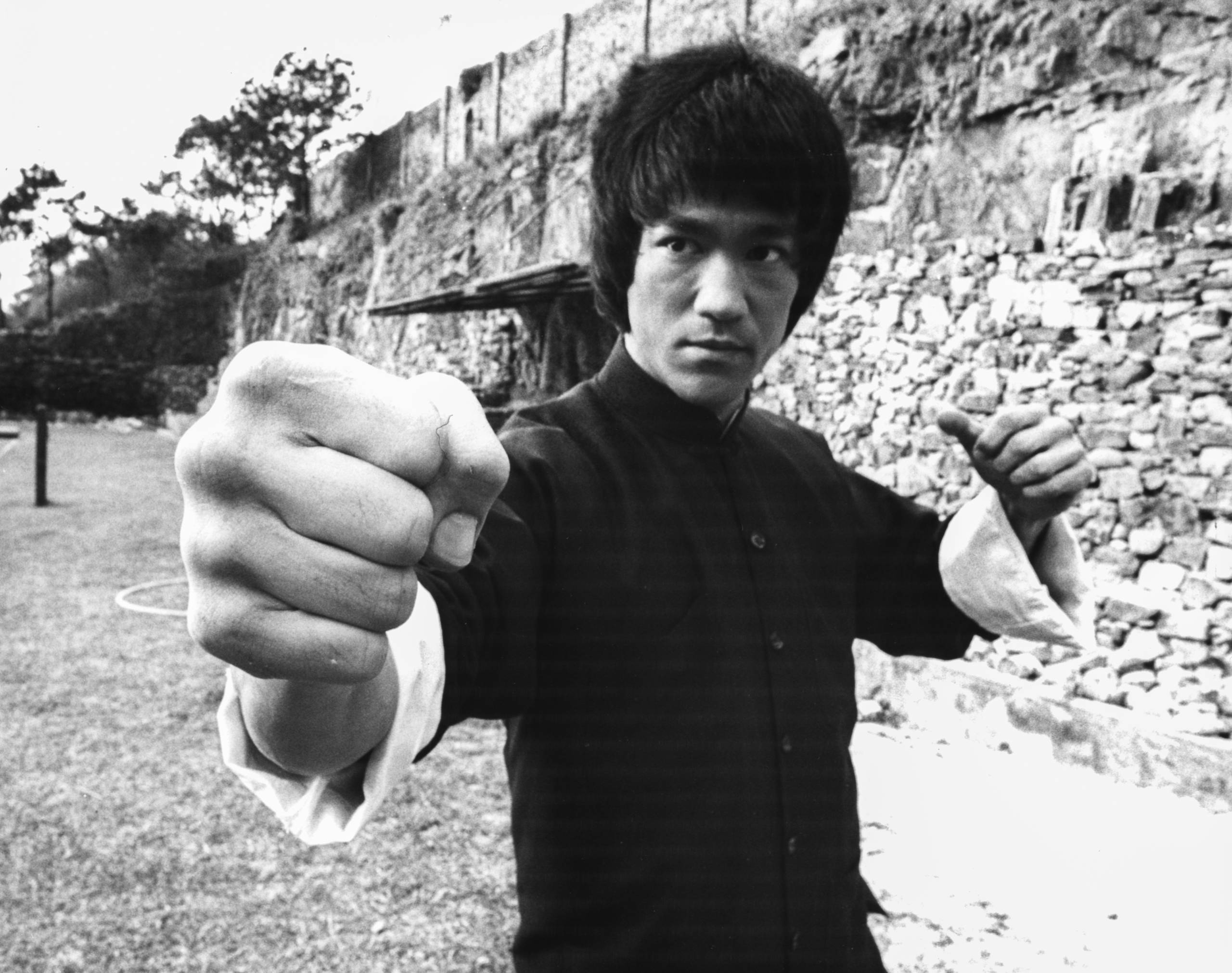 Bruce Lee in typischer Pose