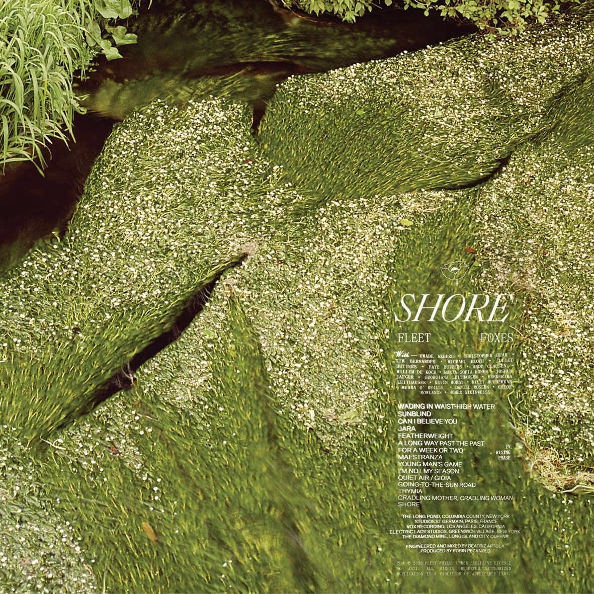 Fleet Foxes veröffentlichen überraschend neues Album „Shore“