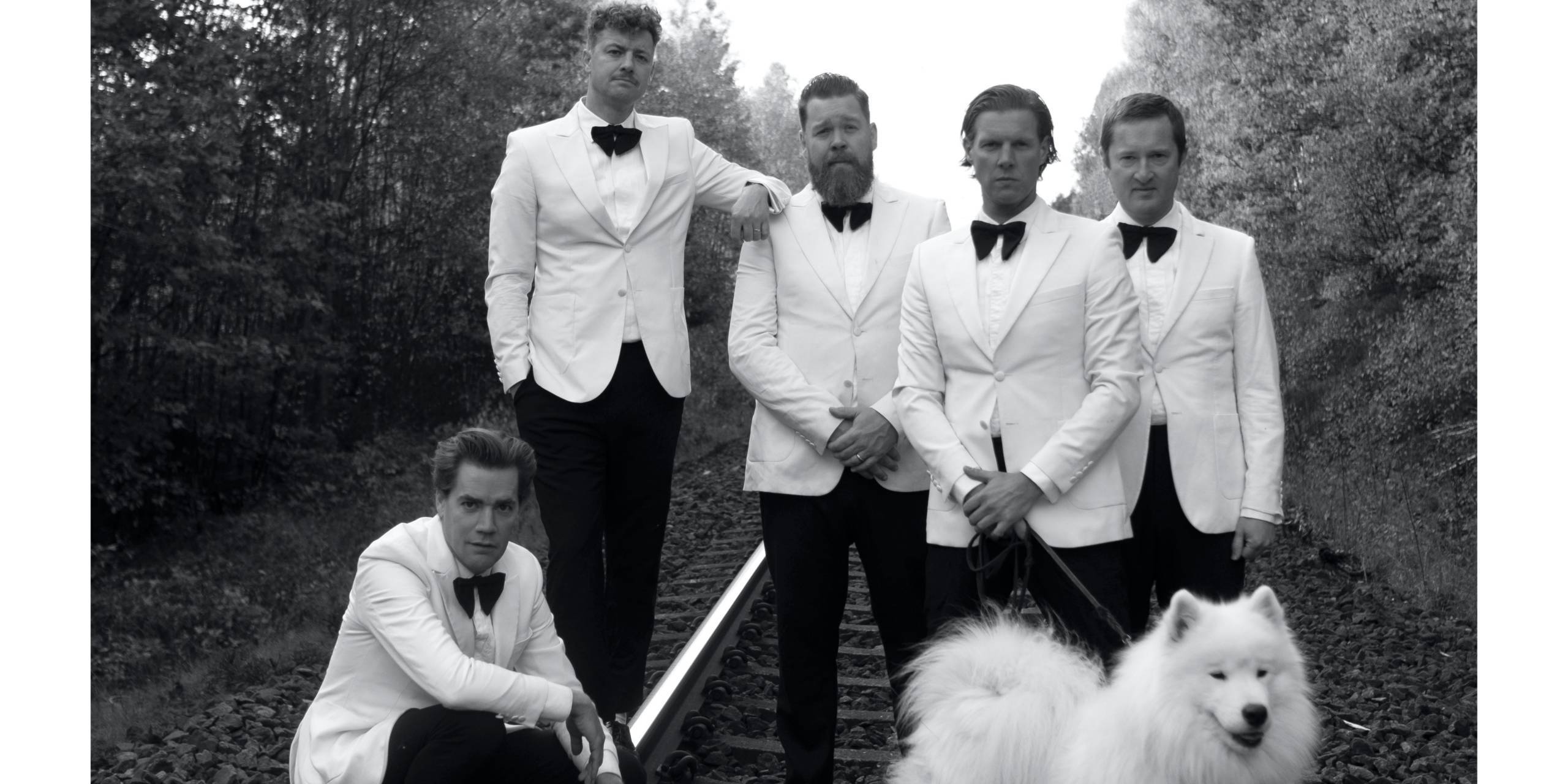 Pelle Almqvists Neujahresvorsätze könnten den ein oder anderen Hives-Fan in Aufregung versetzen