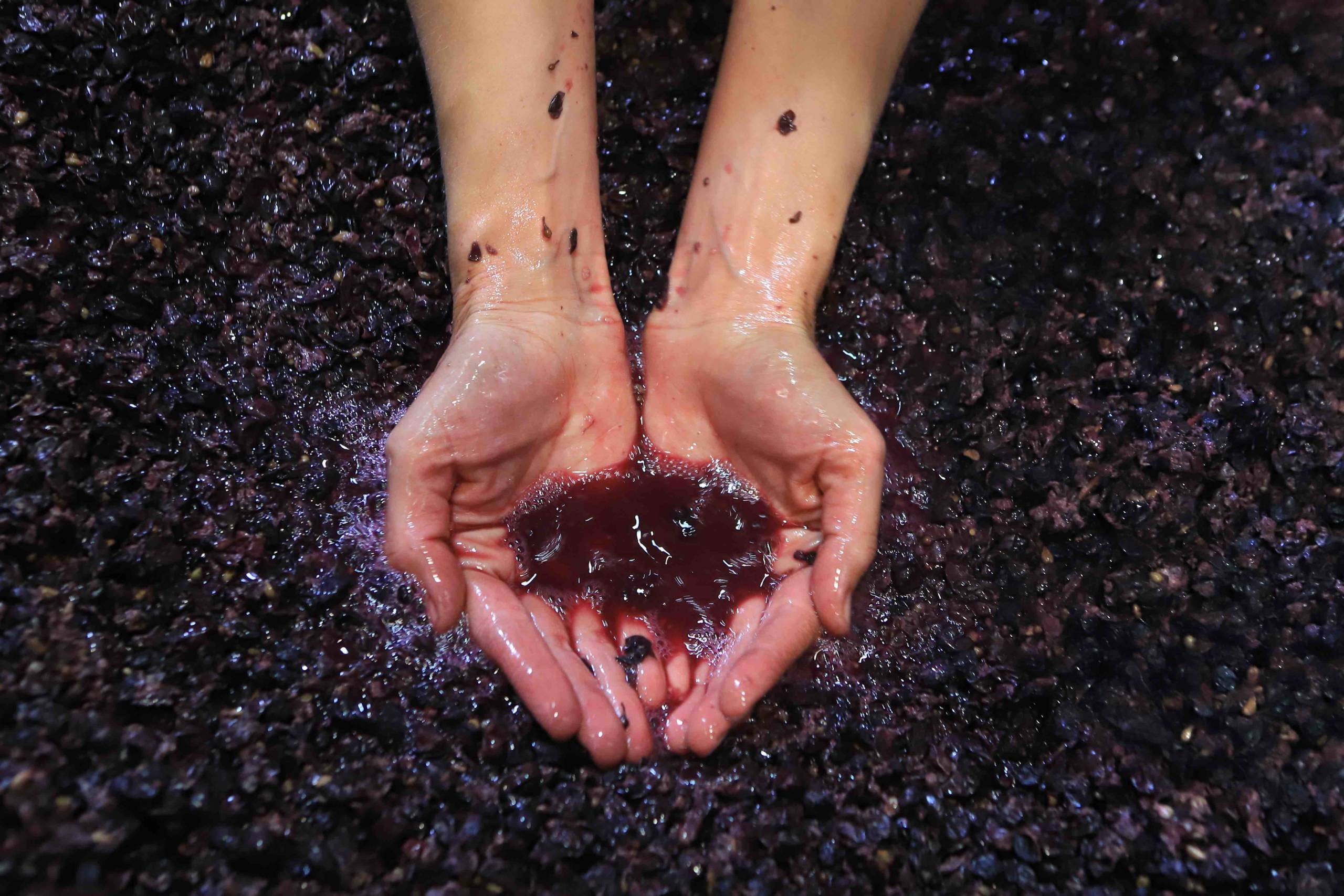 burgunder-GettyImages-1256855545